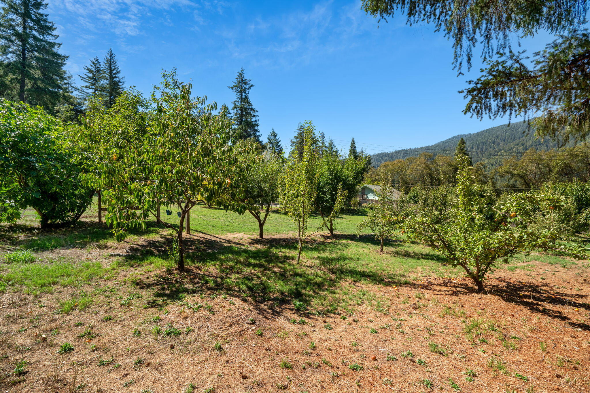 324 Horse Linto Creek Road