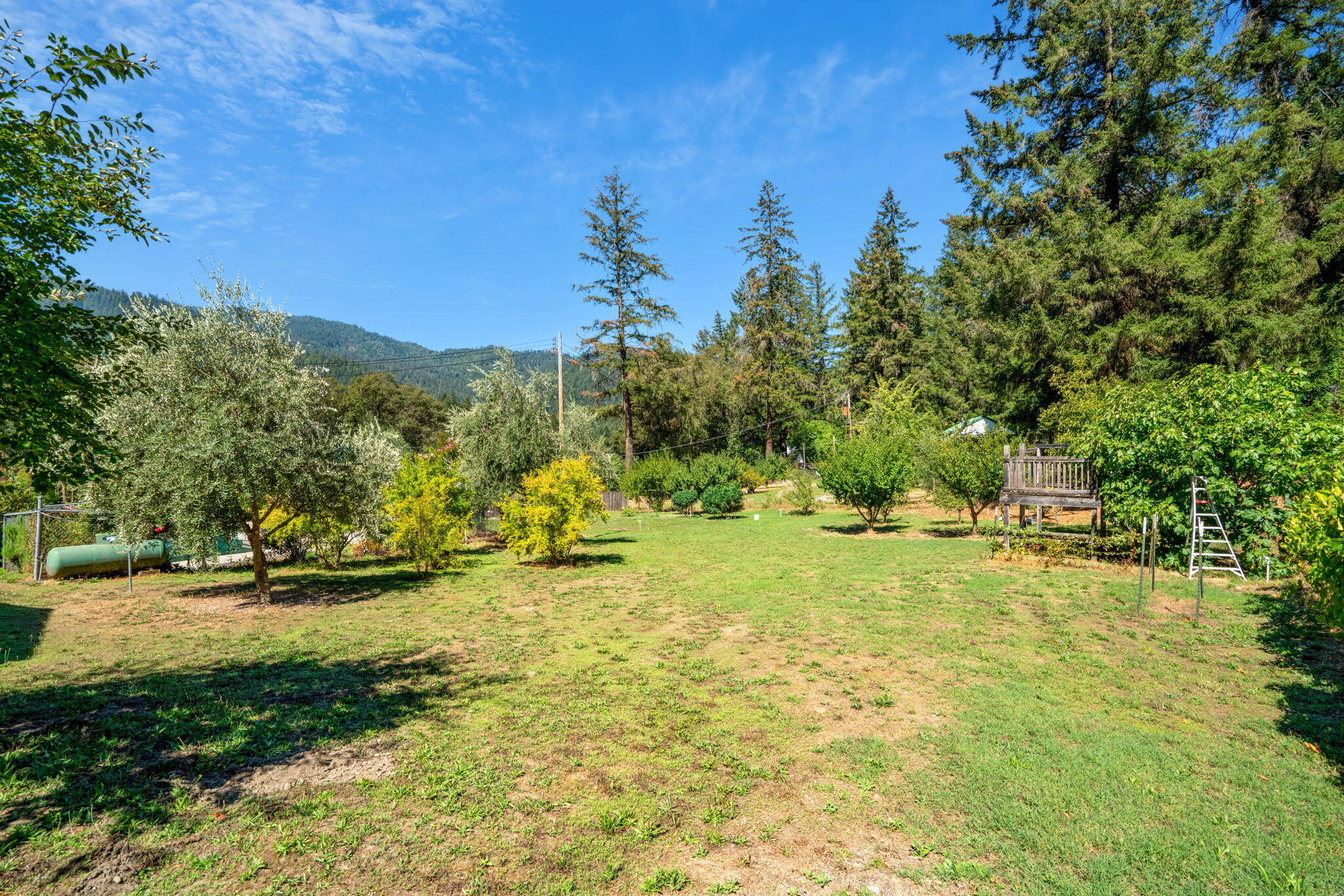 324 Horse Linto Creek Road