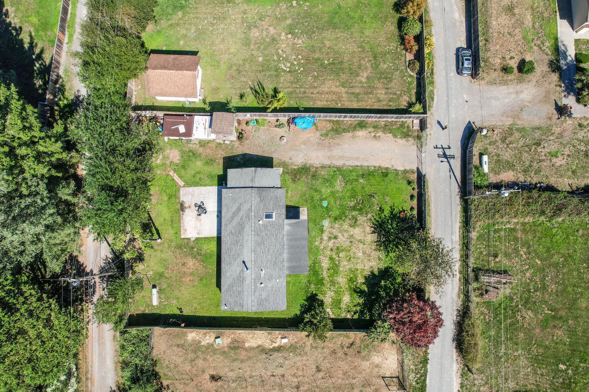 88 Penny Lane