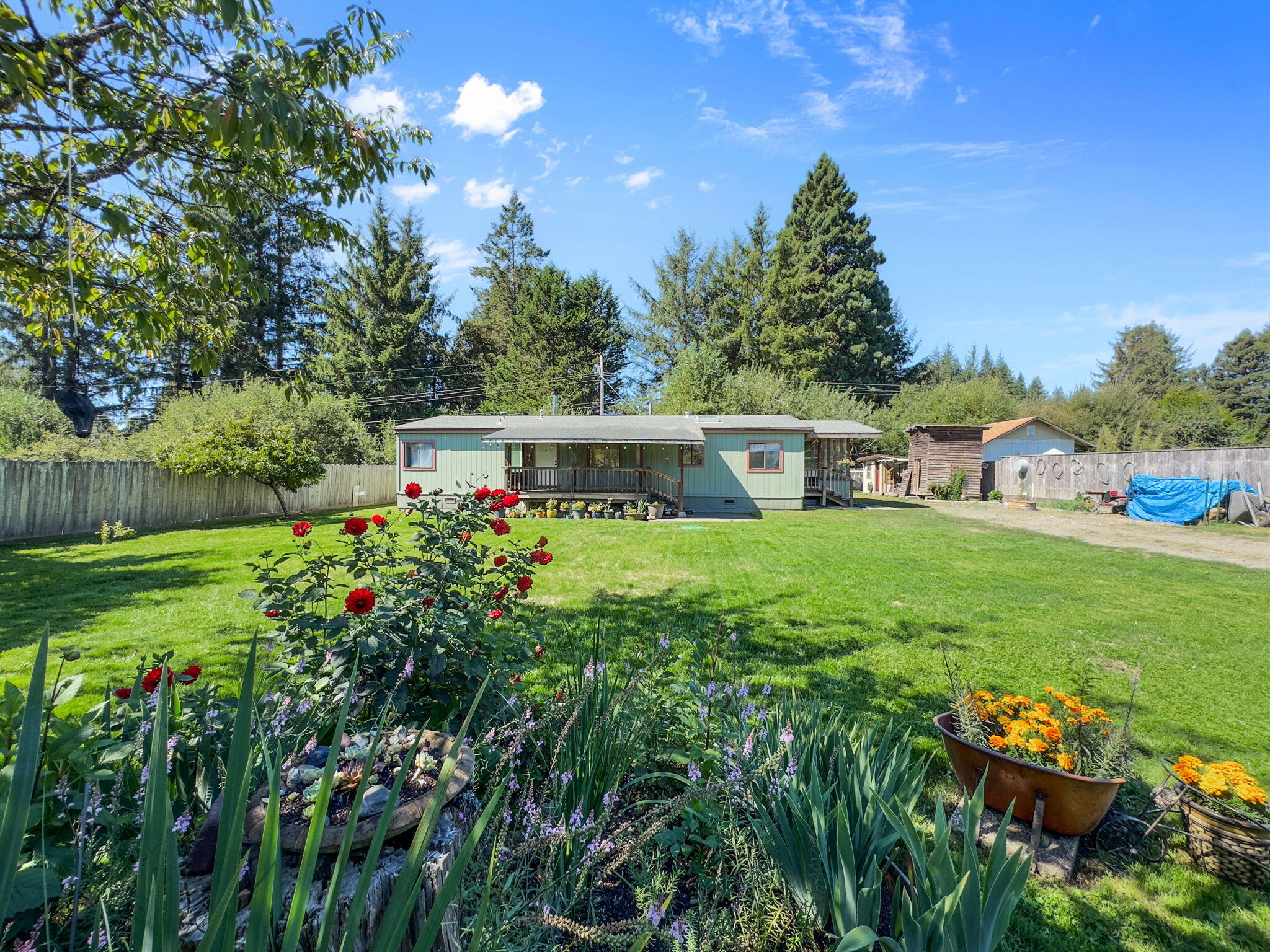 88 Penny Lane
