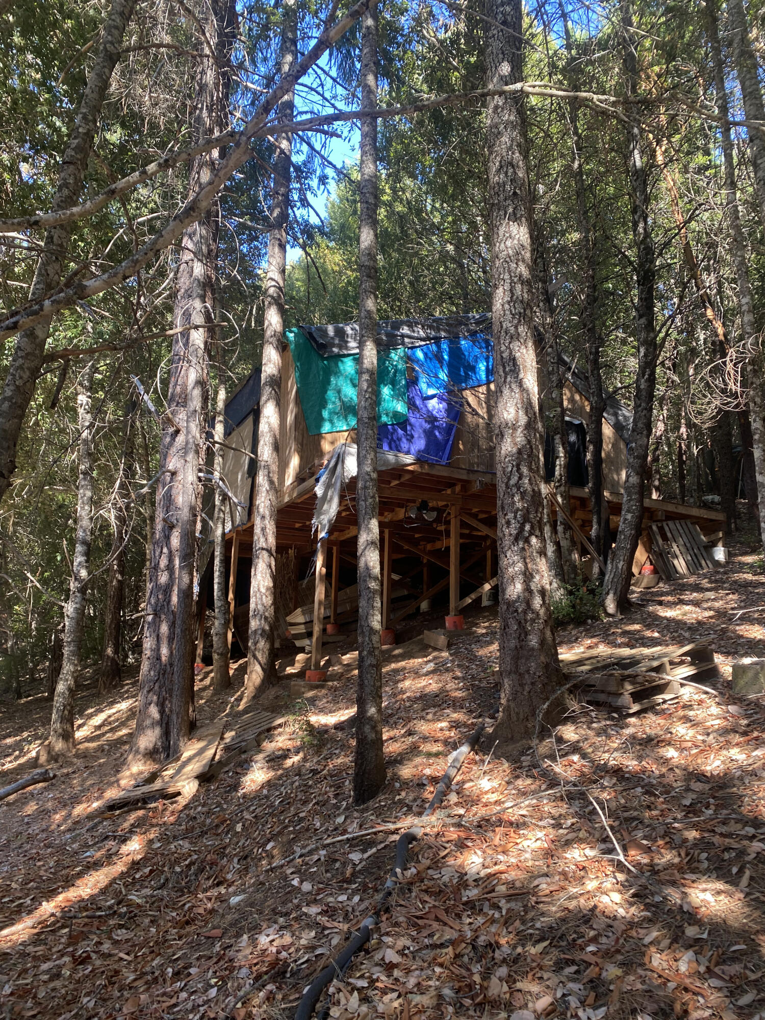 1255 Mcdonald Creek Road