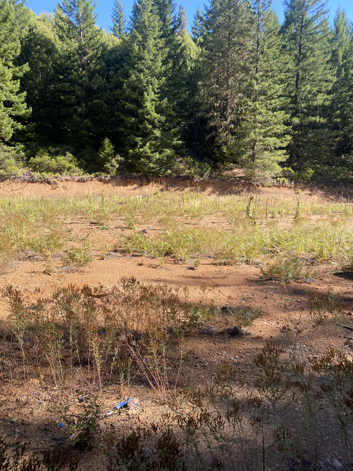 1255 Mcdonald Creek Road