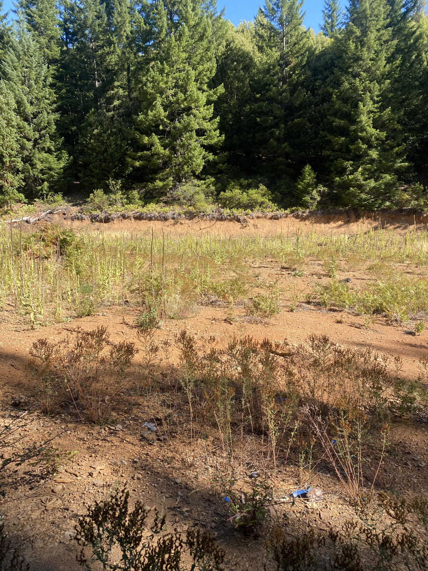 1255 Mcdonald Creek Road