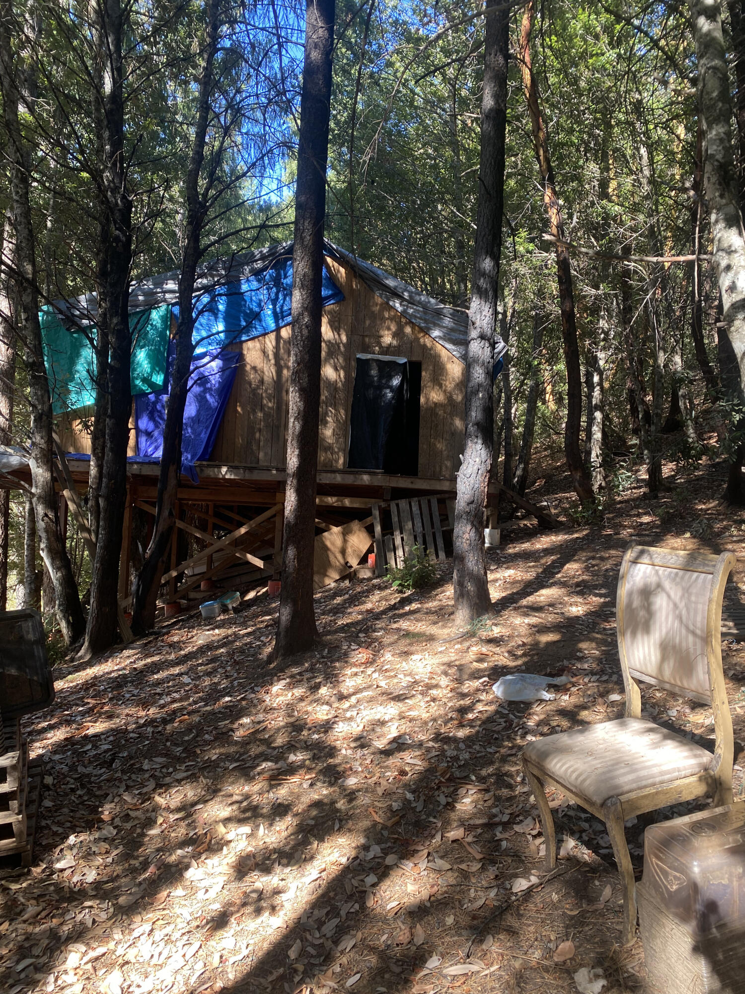 1255 Mcdonald Creek Road
