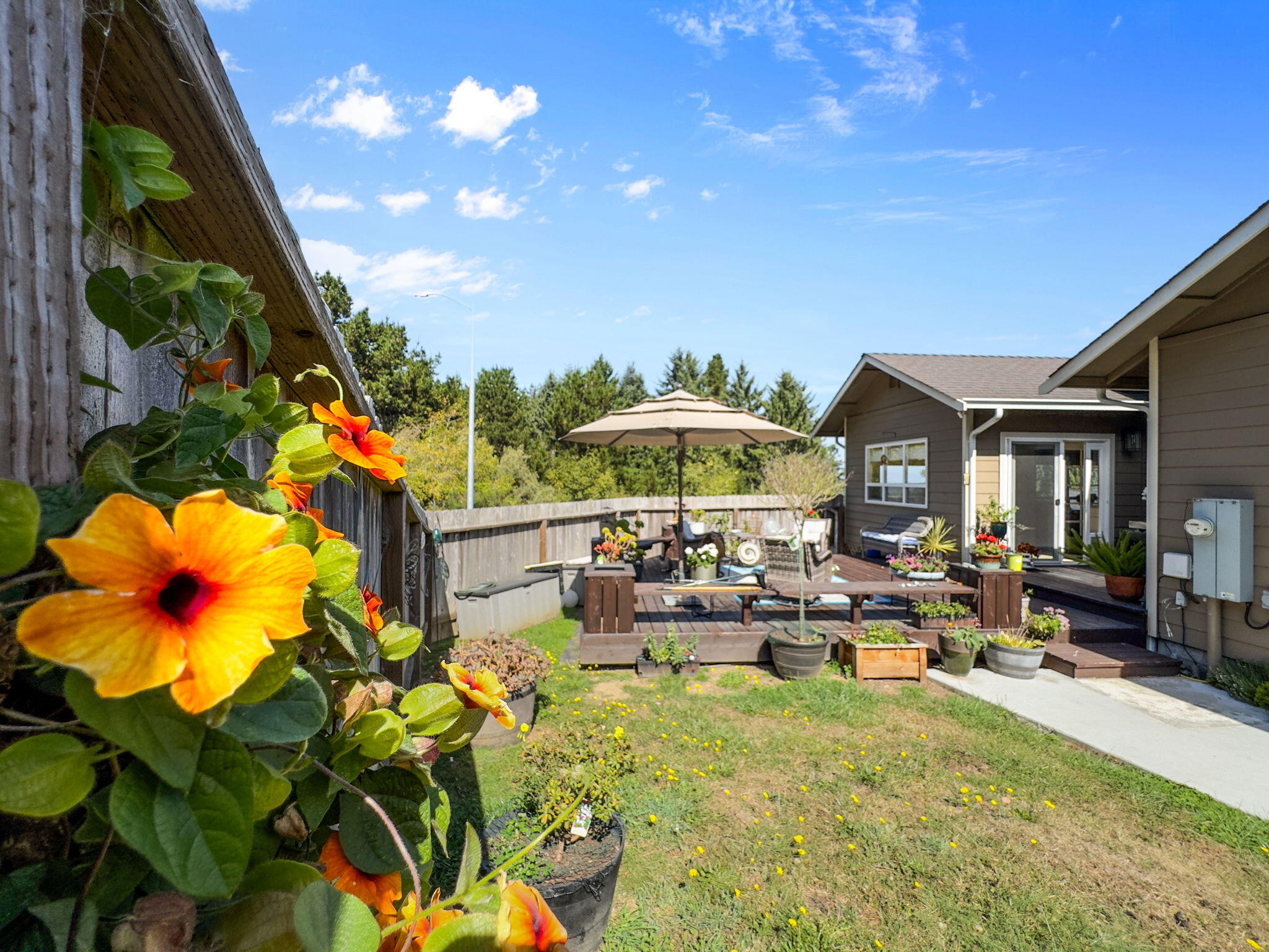 80 Blue Spruce Drive