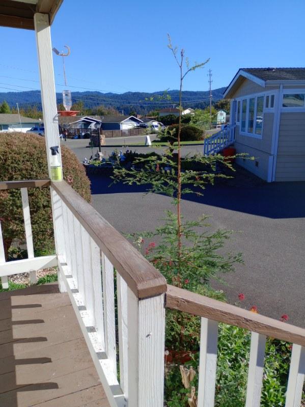 2257 Crown Drive, 2257