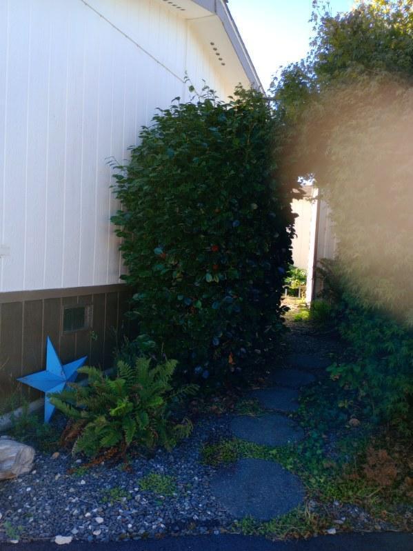 2257 Crown Drive, 2257
