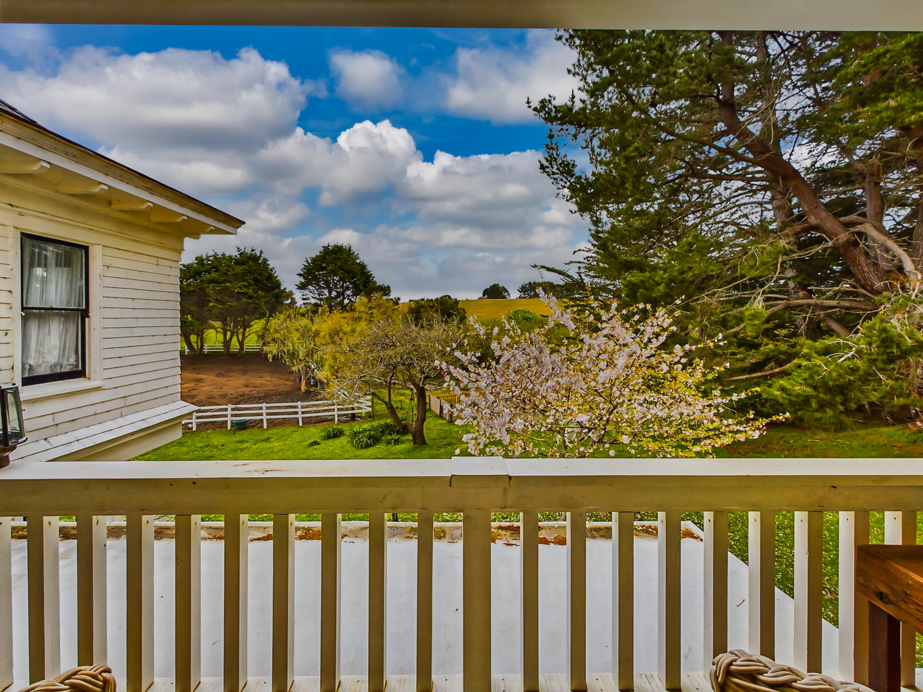 444 Phelan Road