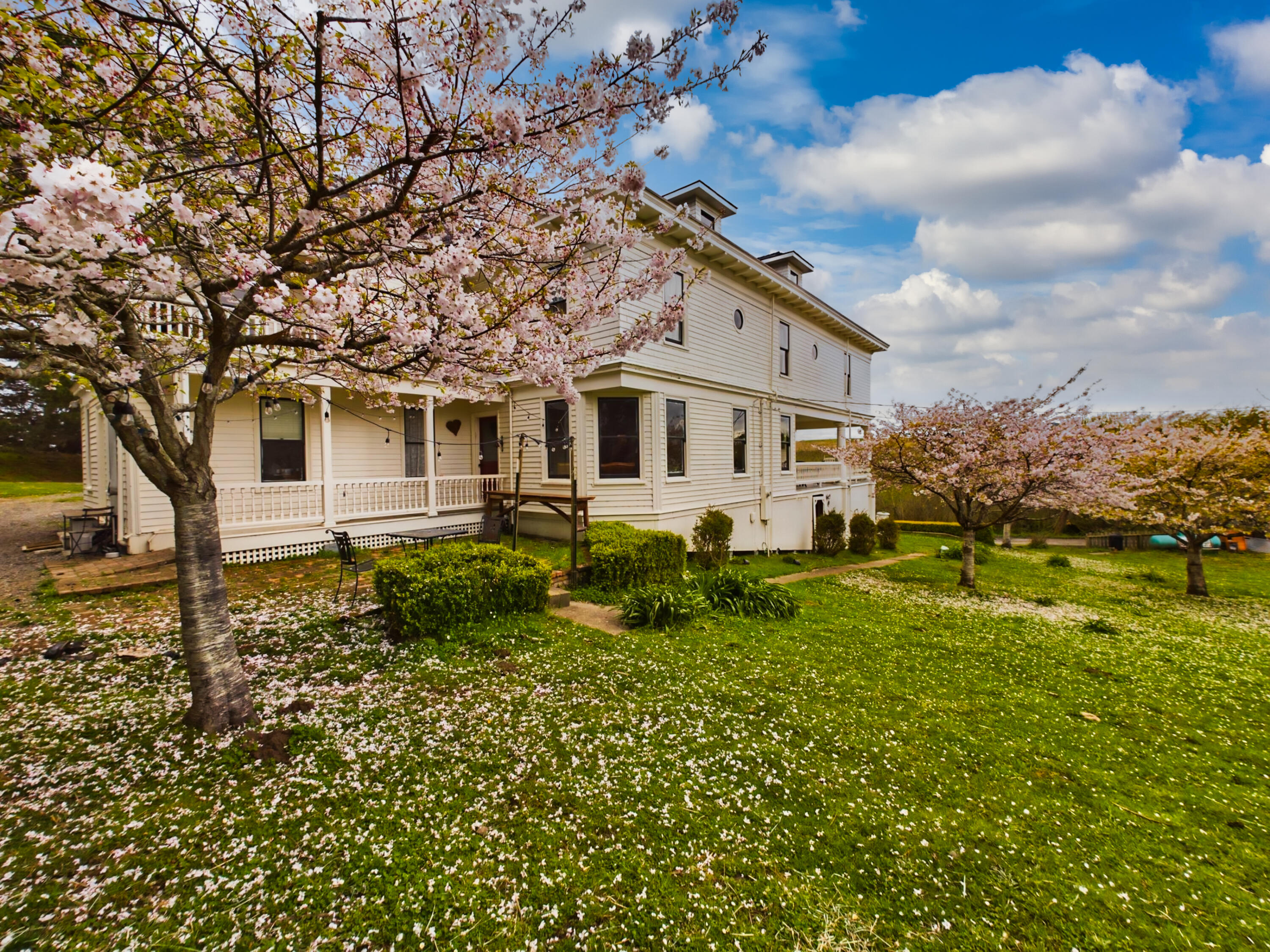444 Phelan Road