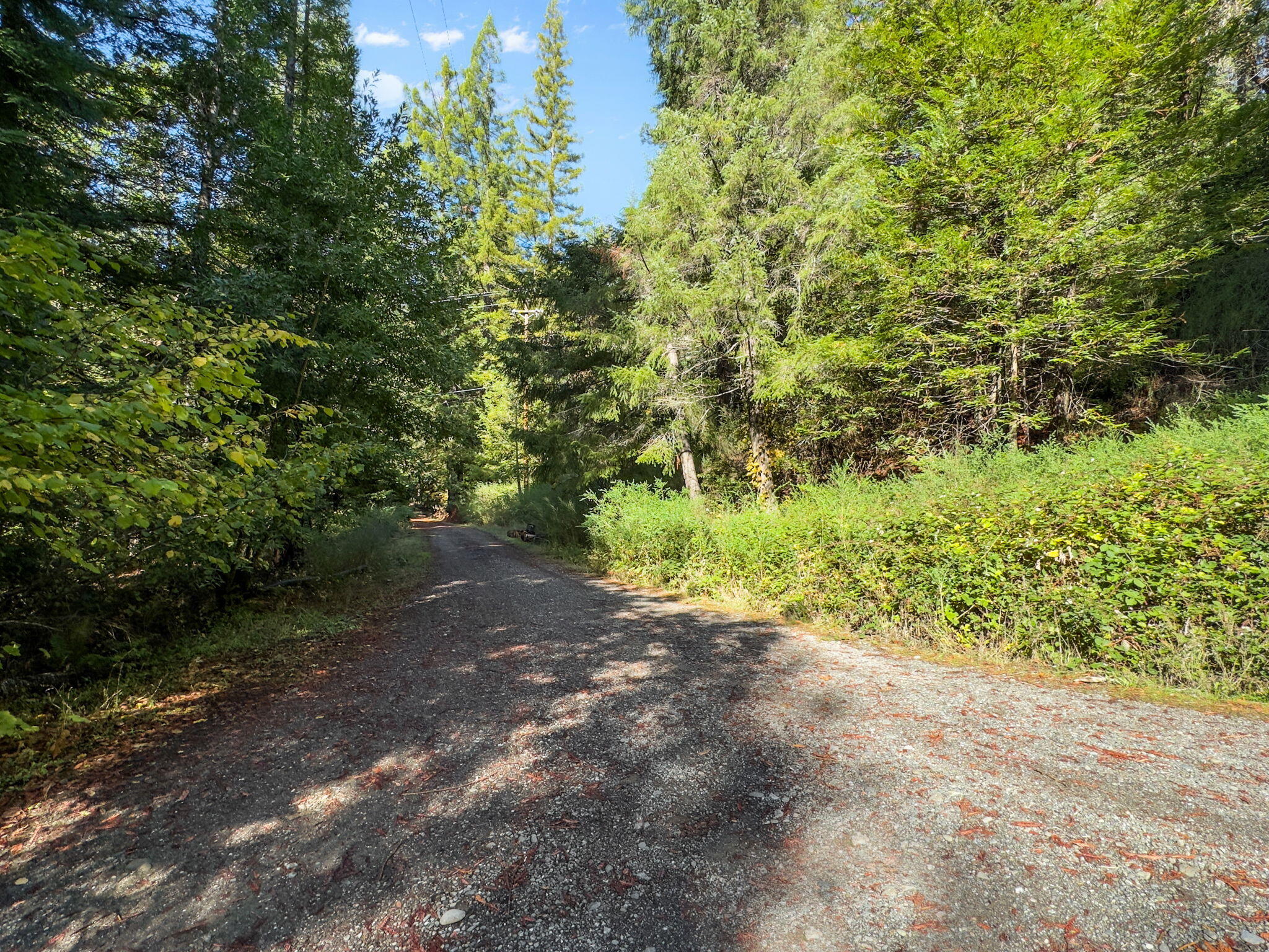1000 Elk Creek Road
