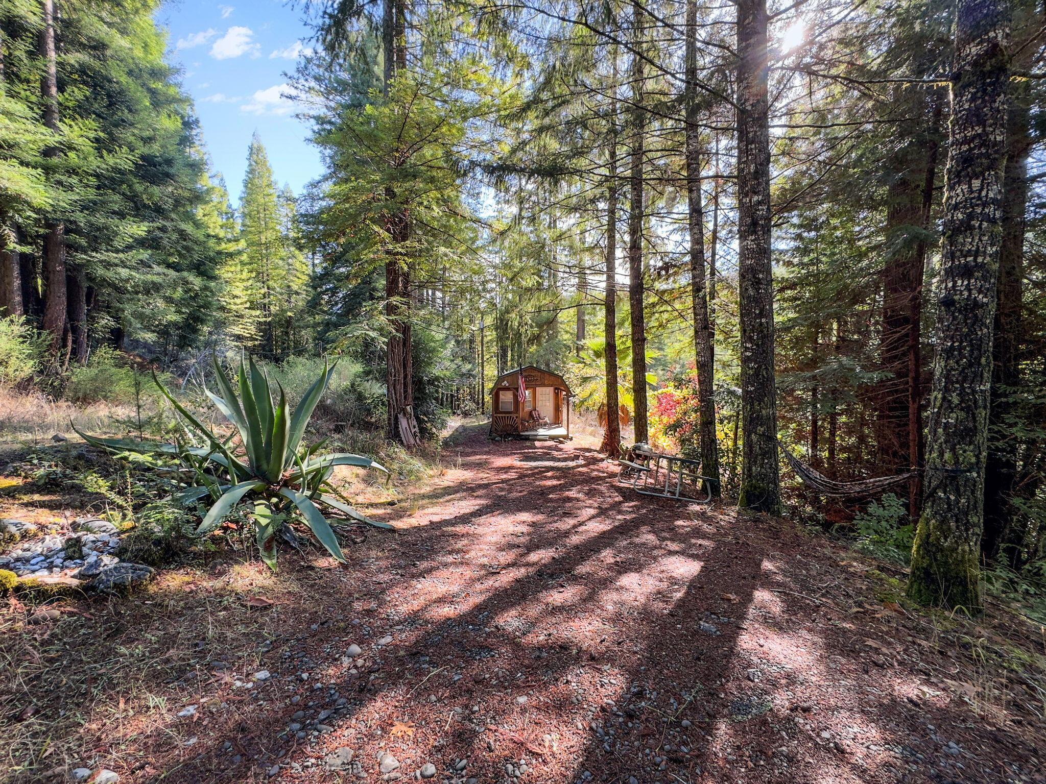 1000 Elk Creek Road
