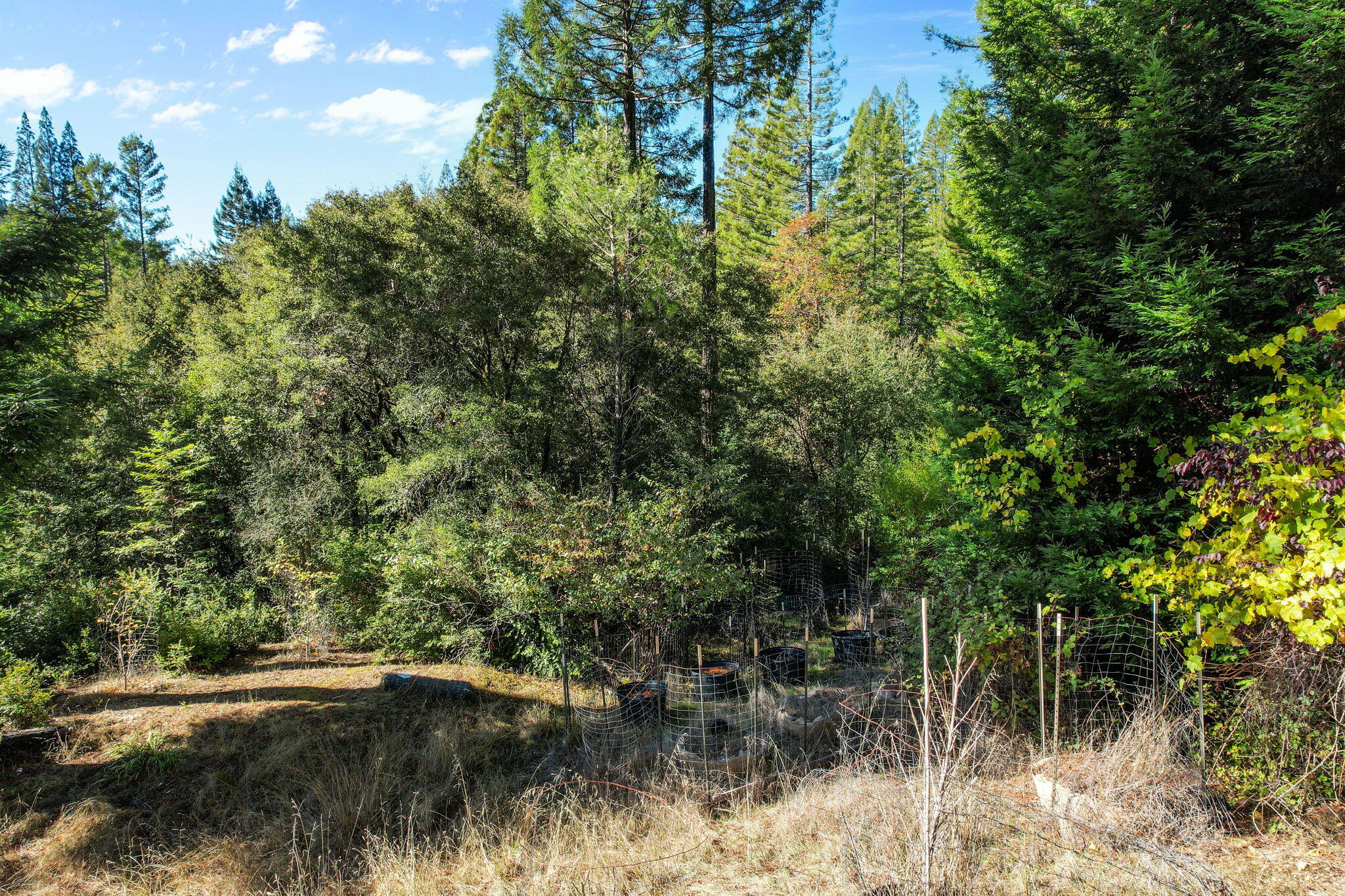1000 Elk Creek Road