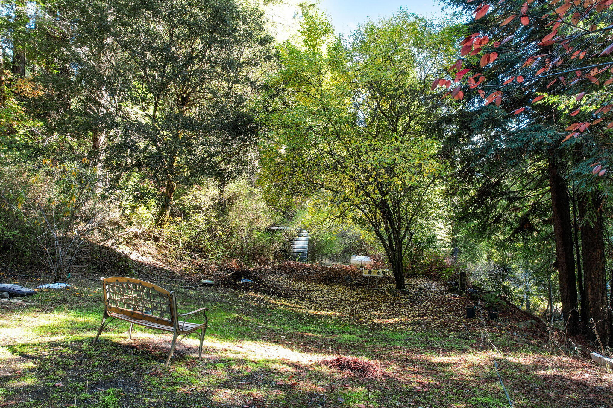 1000 Elk Creek Road