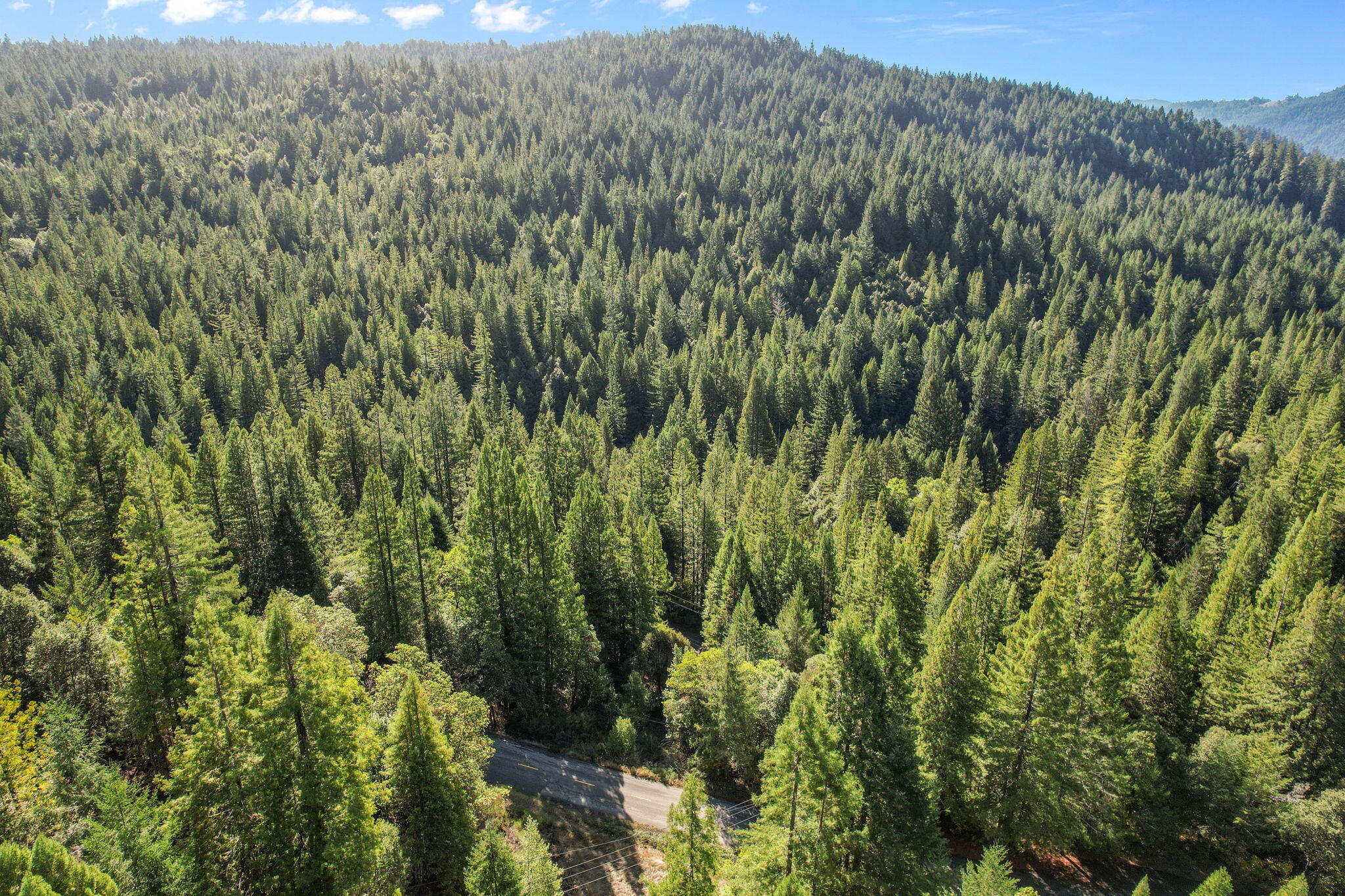 1000 Elk Creek Road