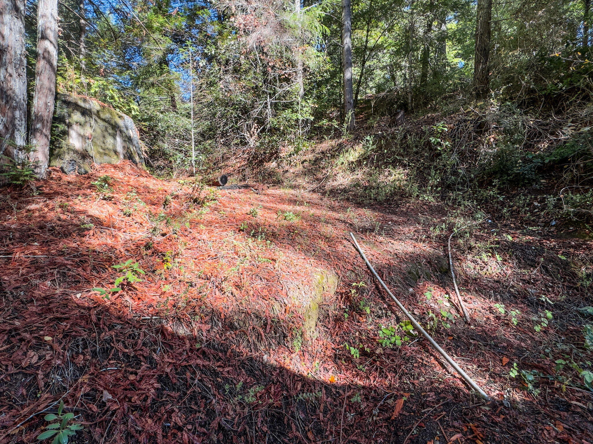 1000 Elk Creek Road