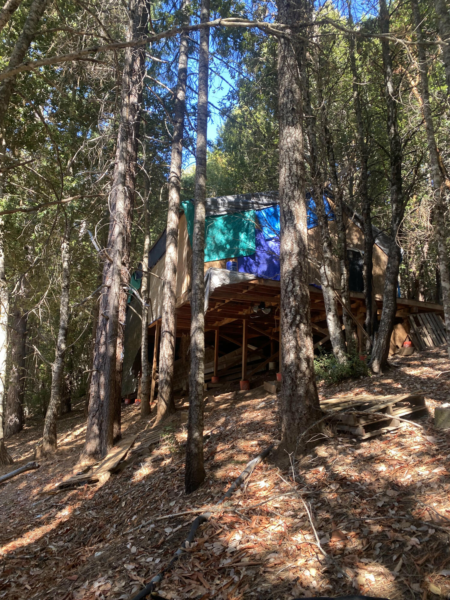 1780 Mcdonald Creek Road