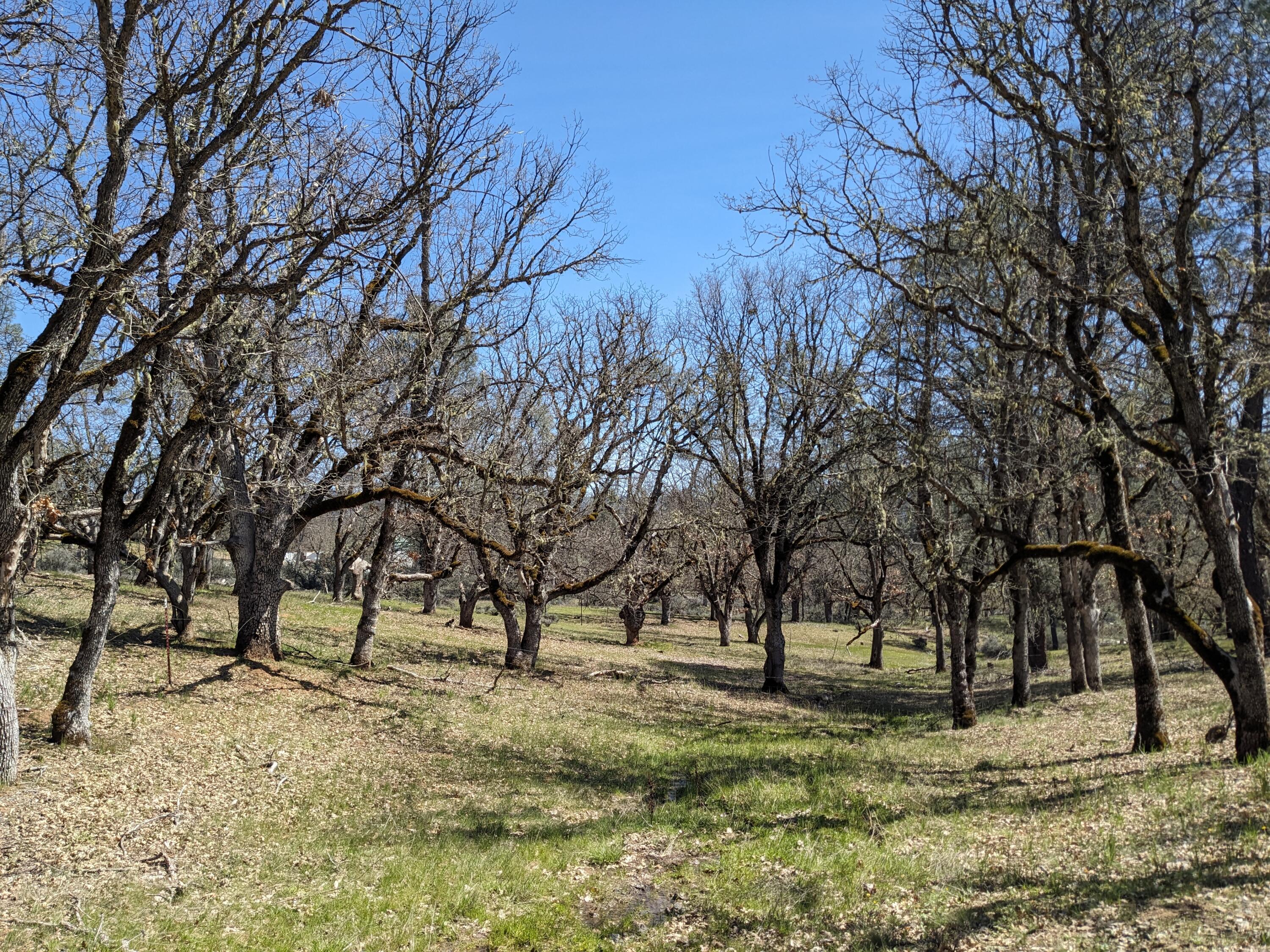 2181 Farmer Ranch Road