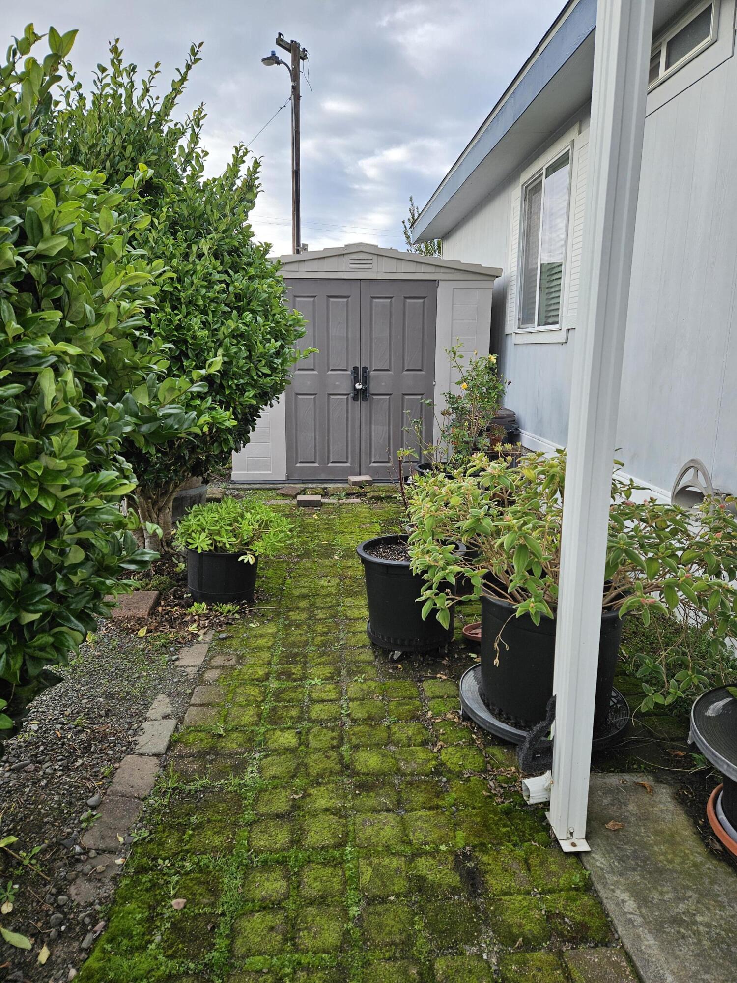 4529 Lewis Avenue, 2