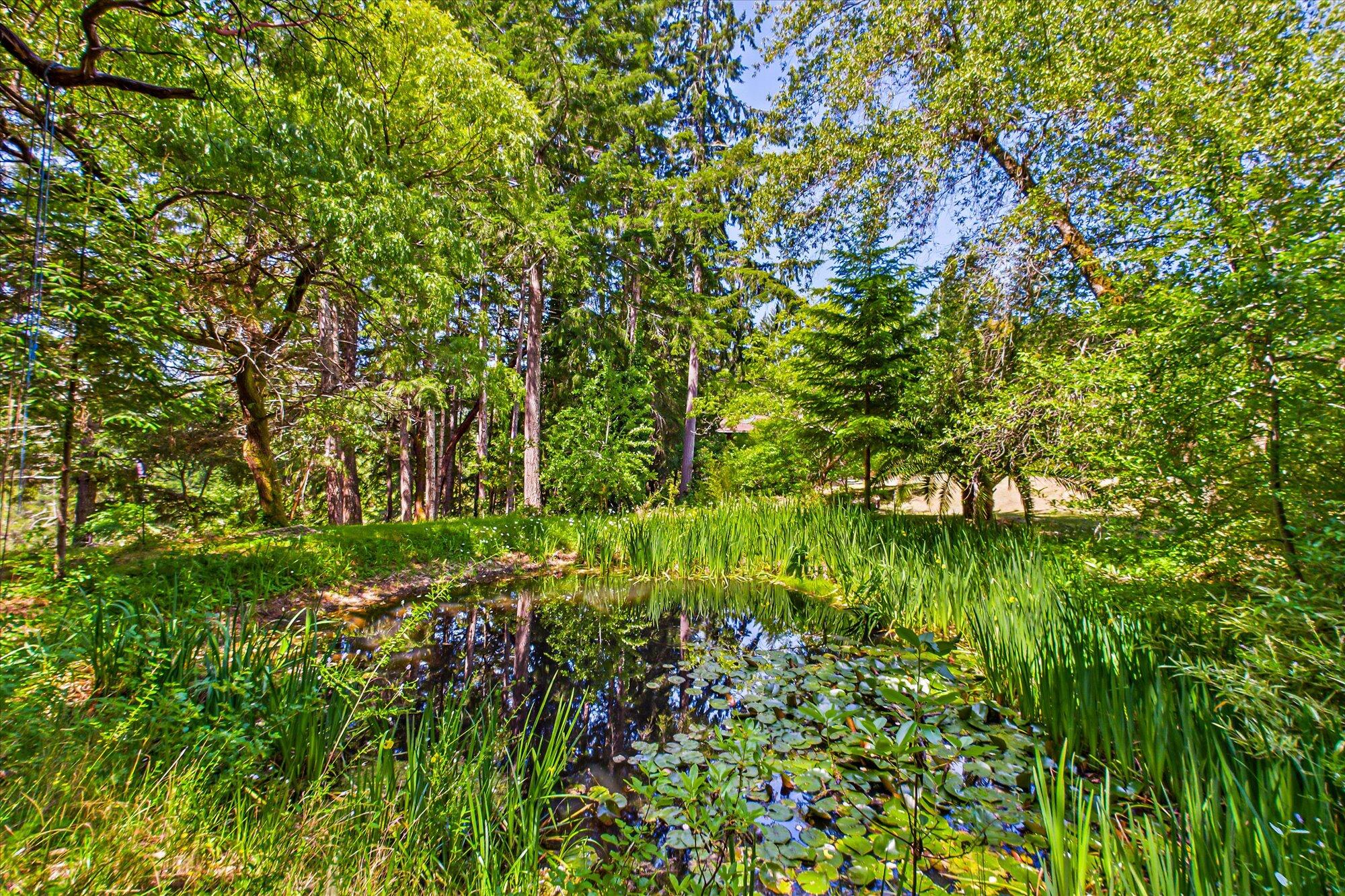 3551 Lower Thomas Road