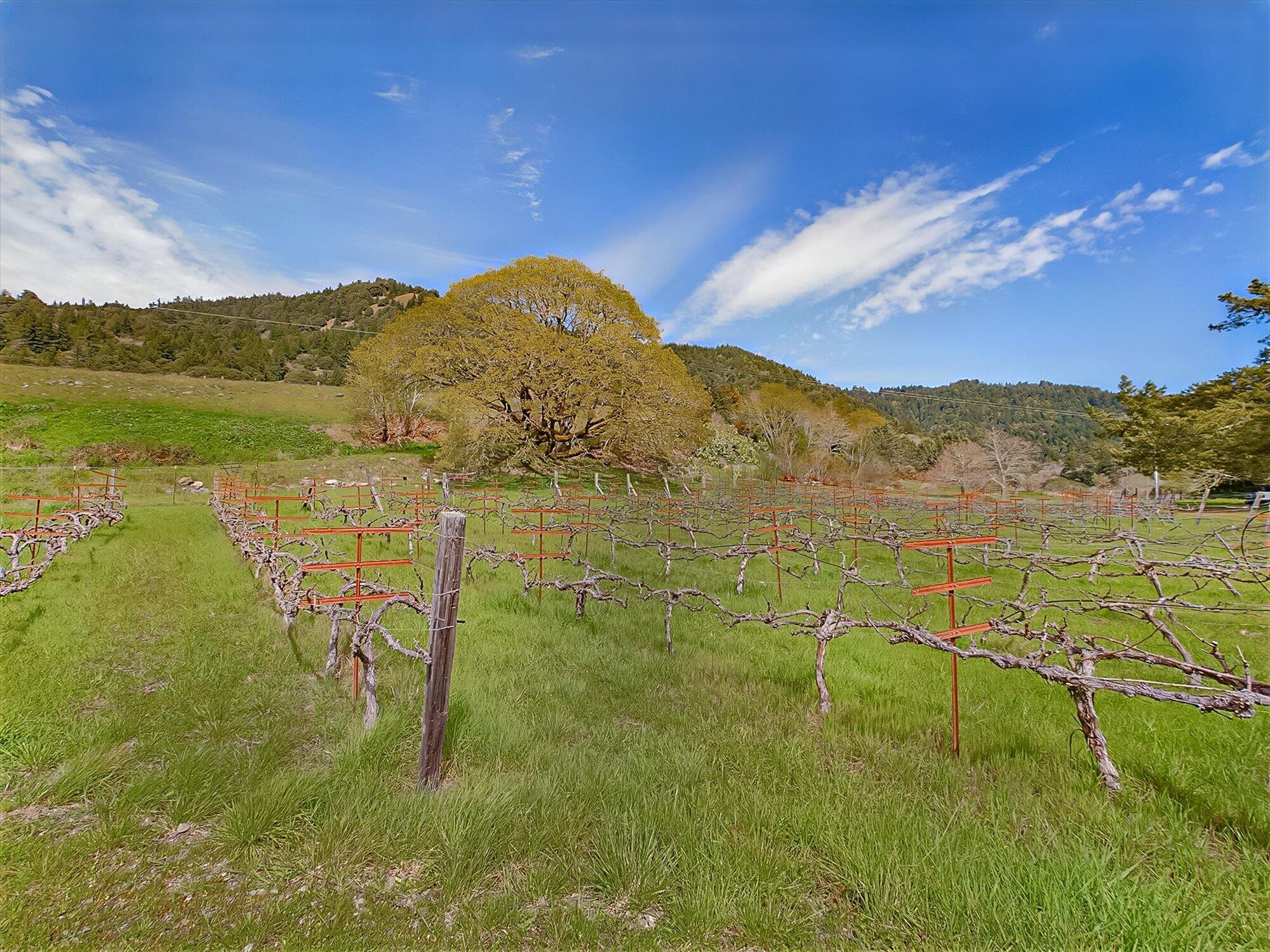 650 Old Hindley Ranch Road