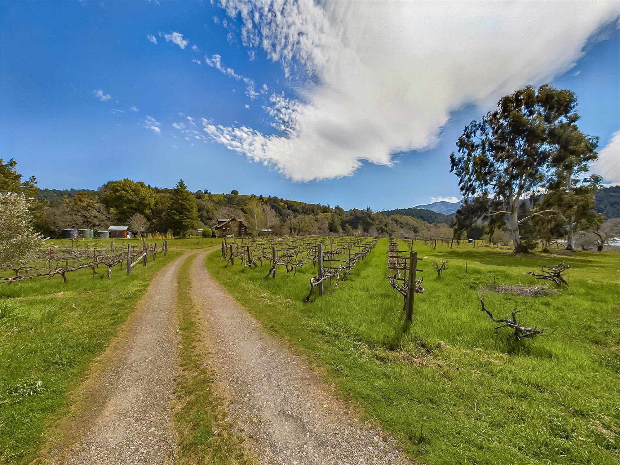 650 Old Hindley Ranch Road