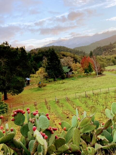 650 Old Hindley Ranch Road