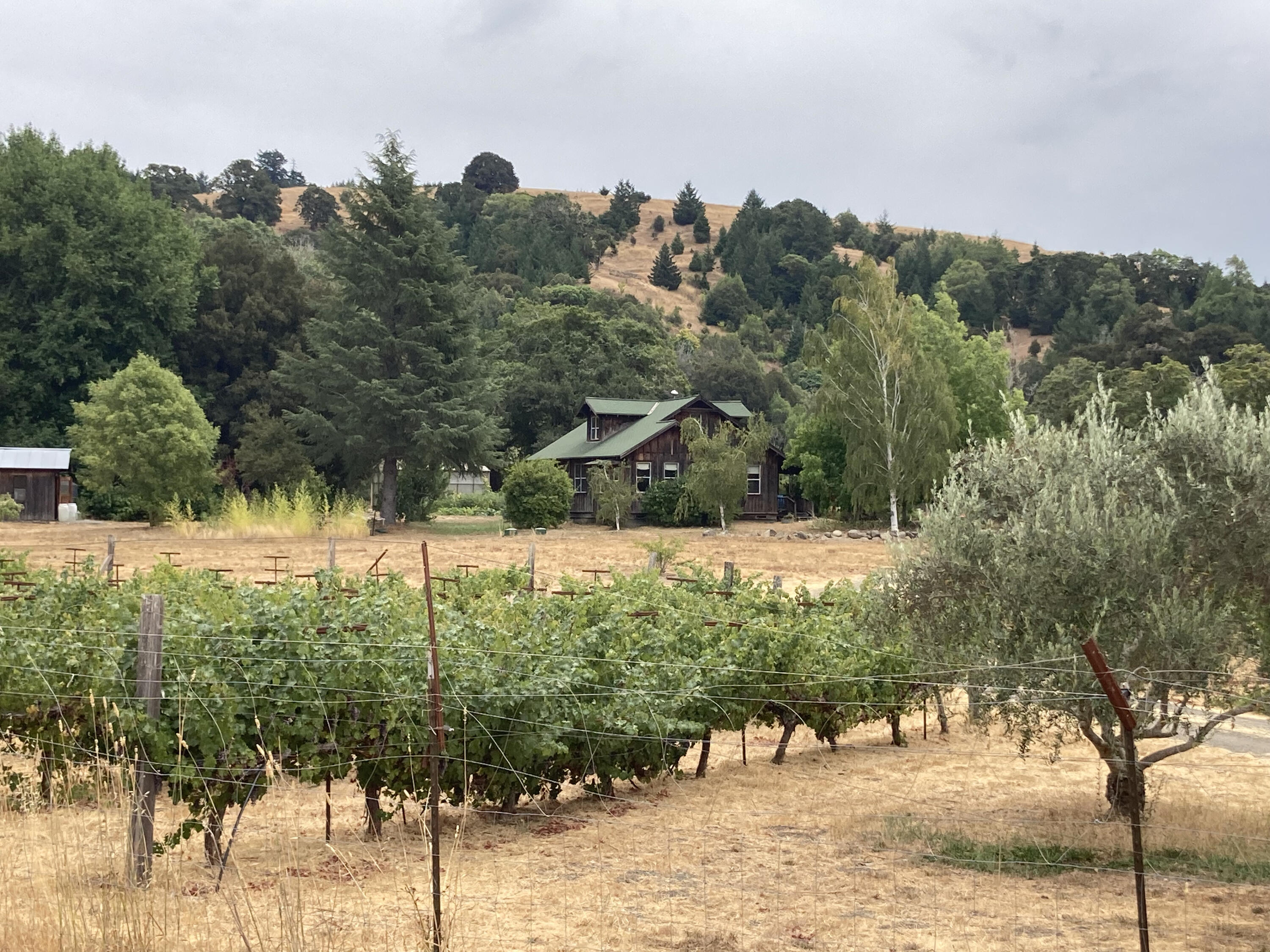 650 Old Hindley Ranch Road