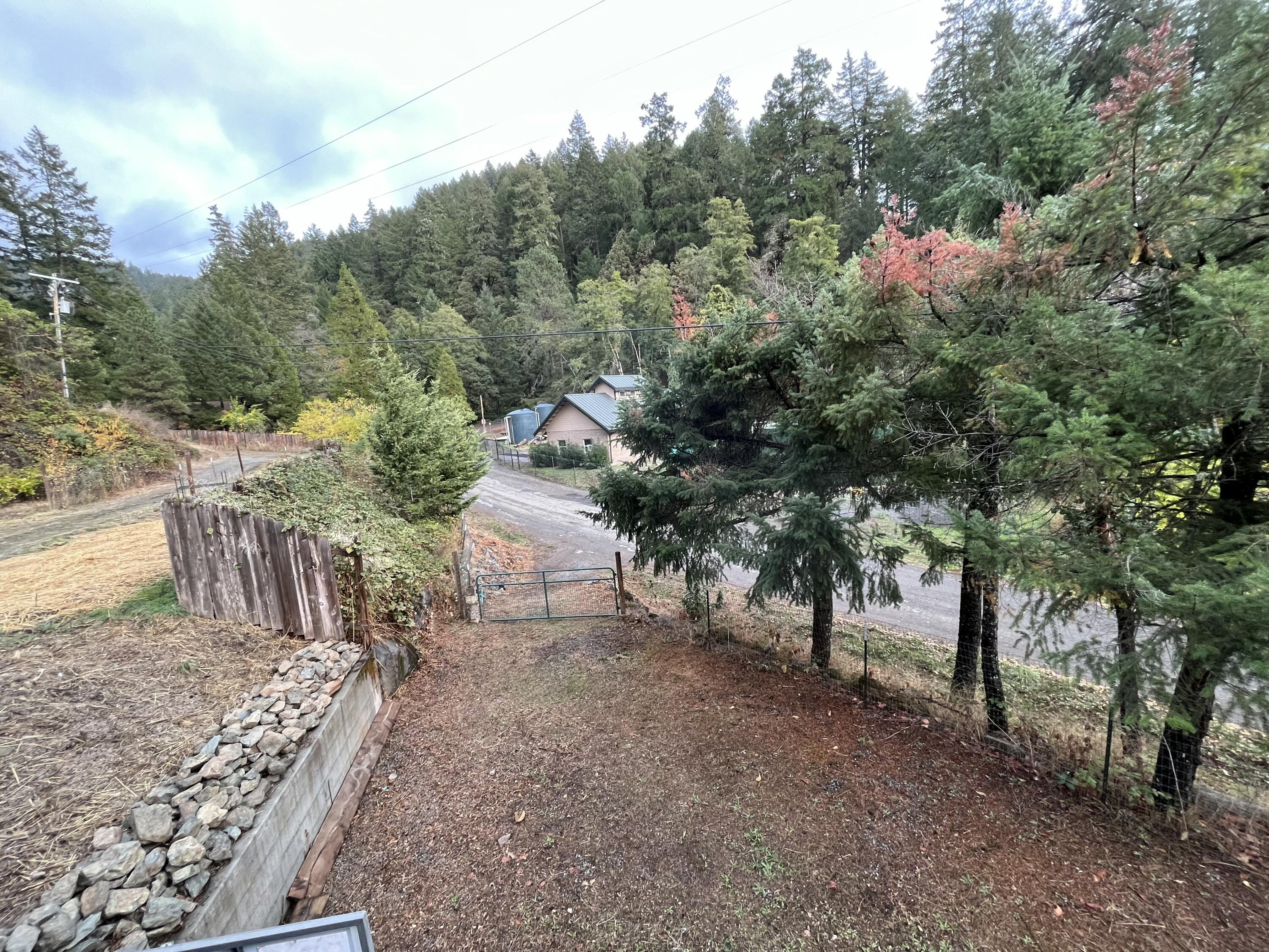 50 Flame Tree Road