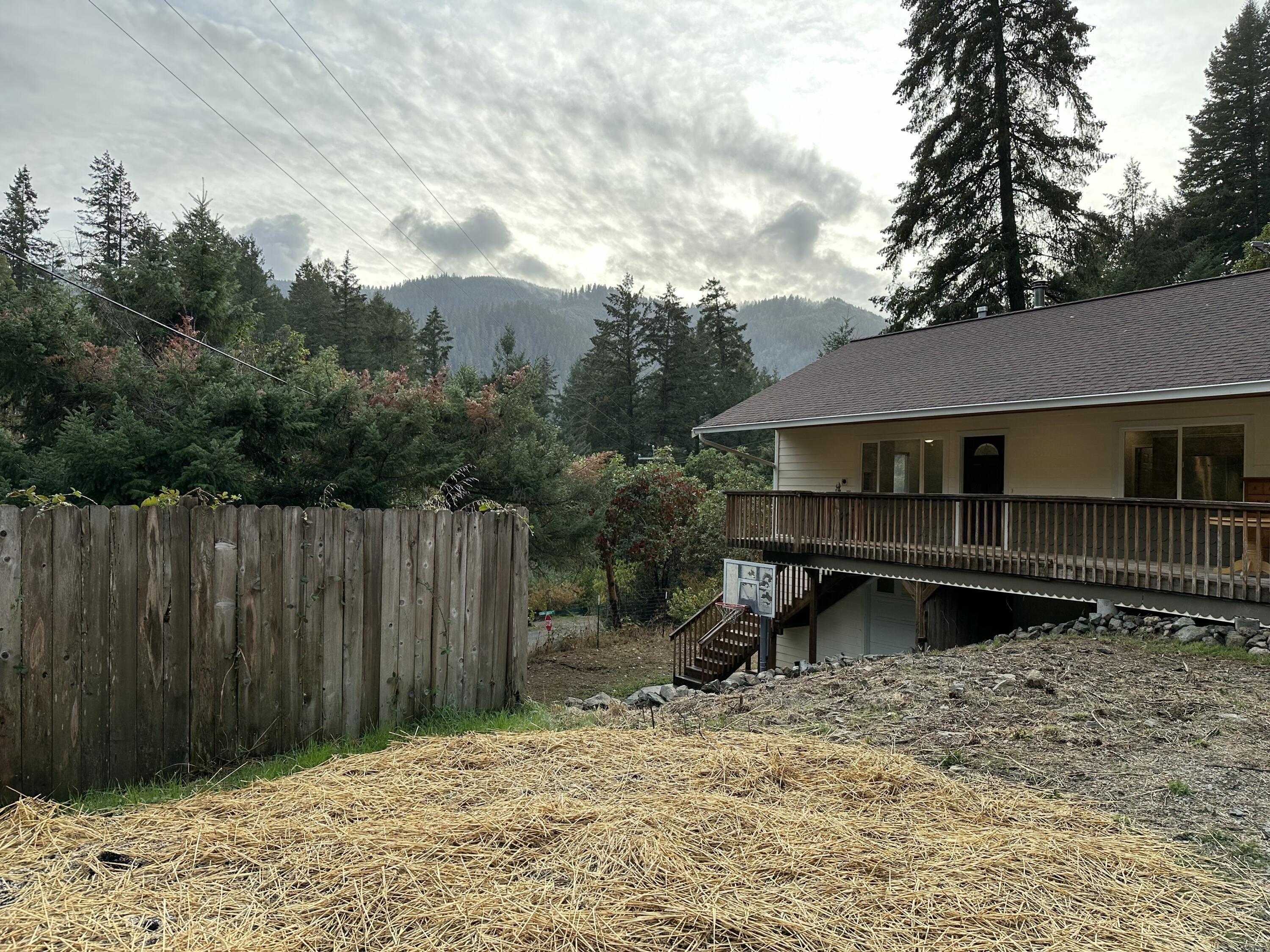 50 Flame Tree Road