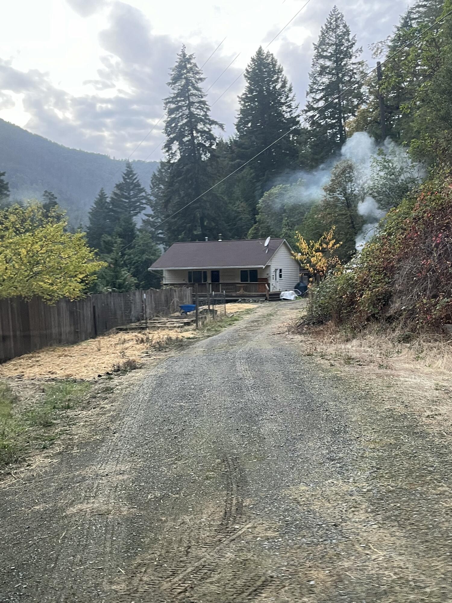 50 Flame Tree Road