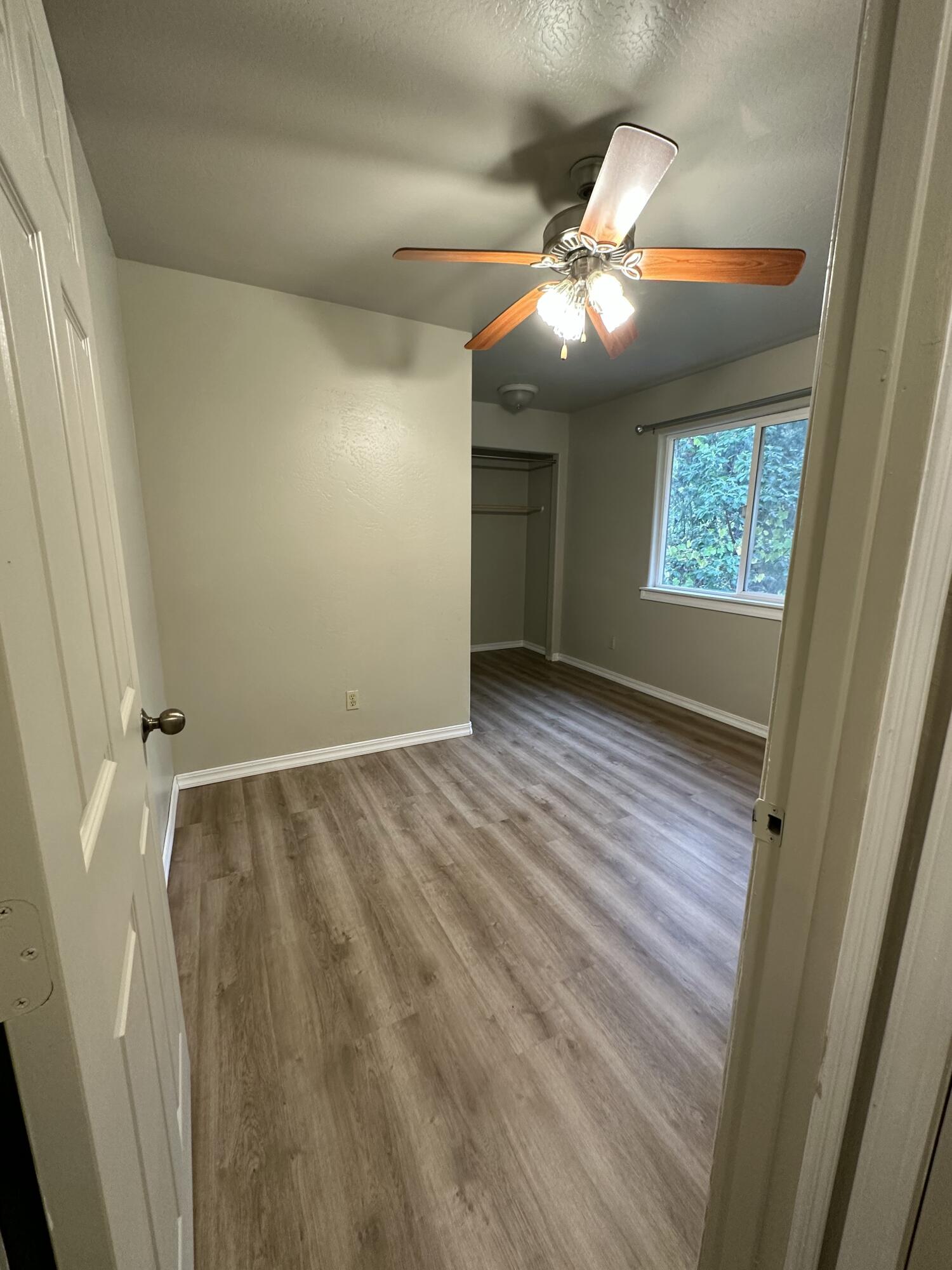 50 Flame Tree Road