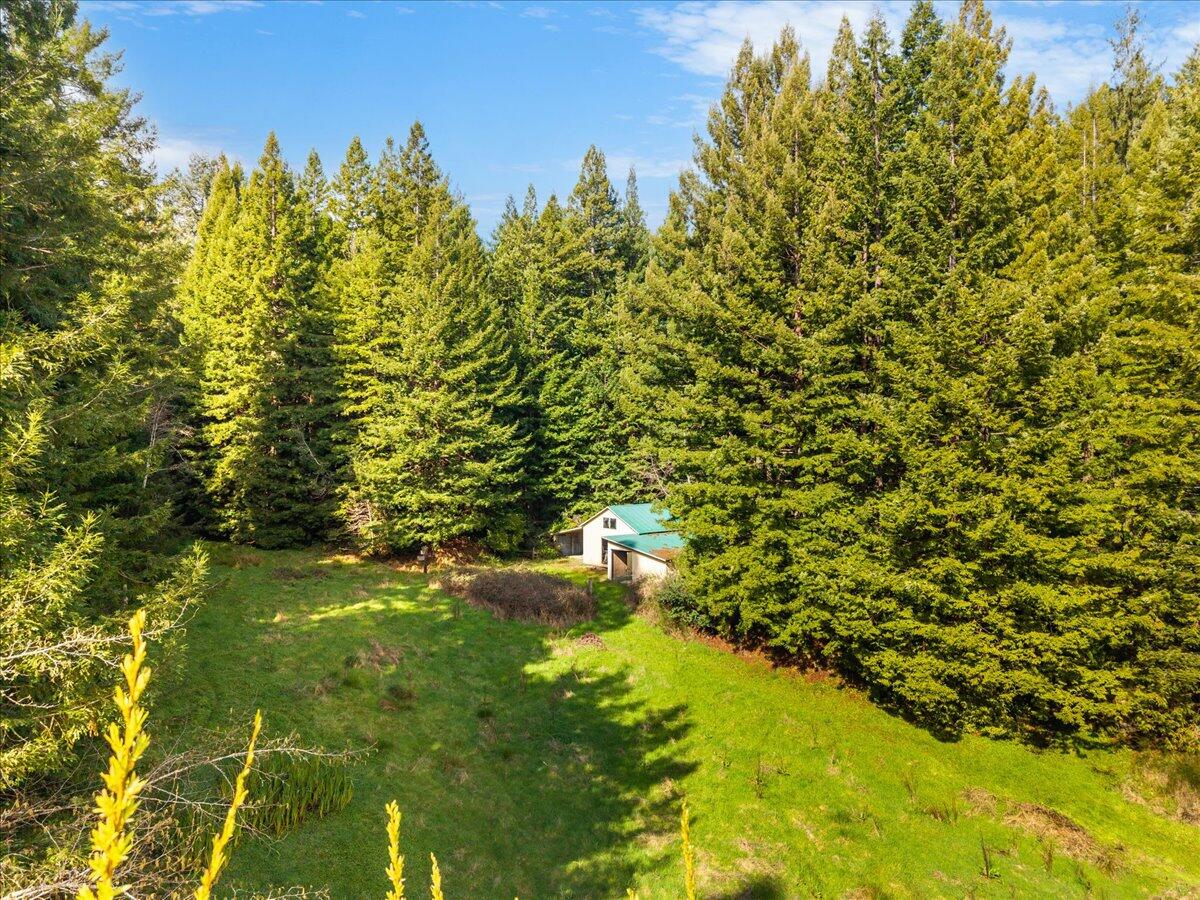2630 Spears Road