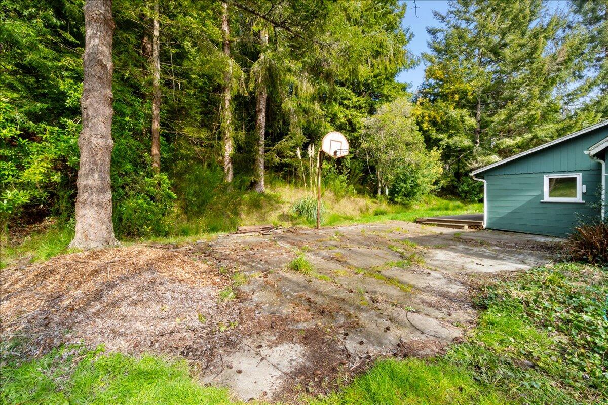 2630 Spears Road