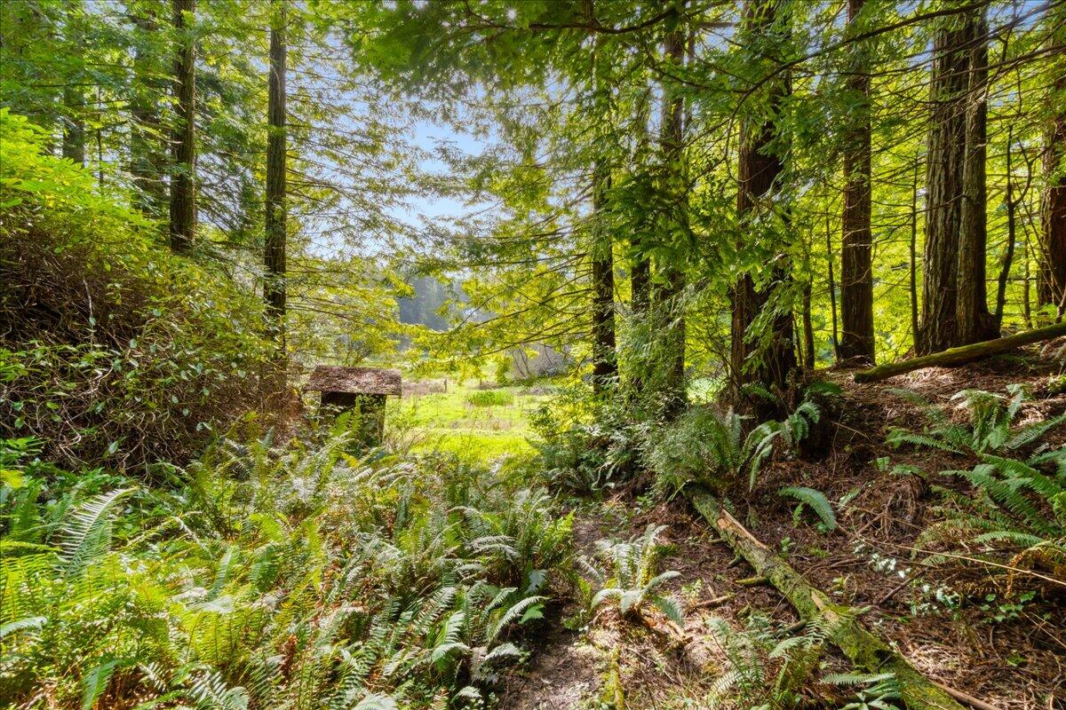 2630 Spears Road