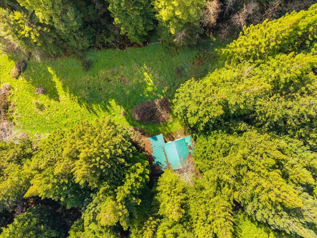 2630 Spears Road