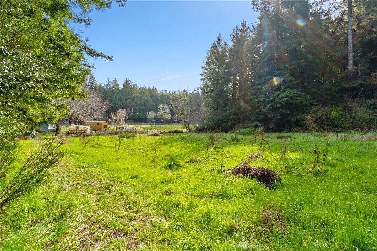 2630 Spears Road