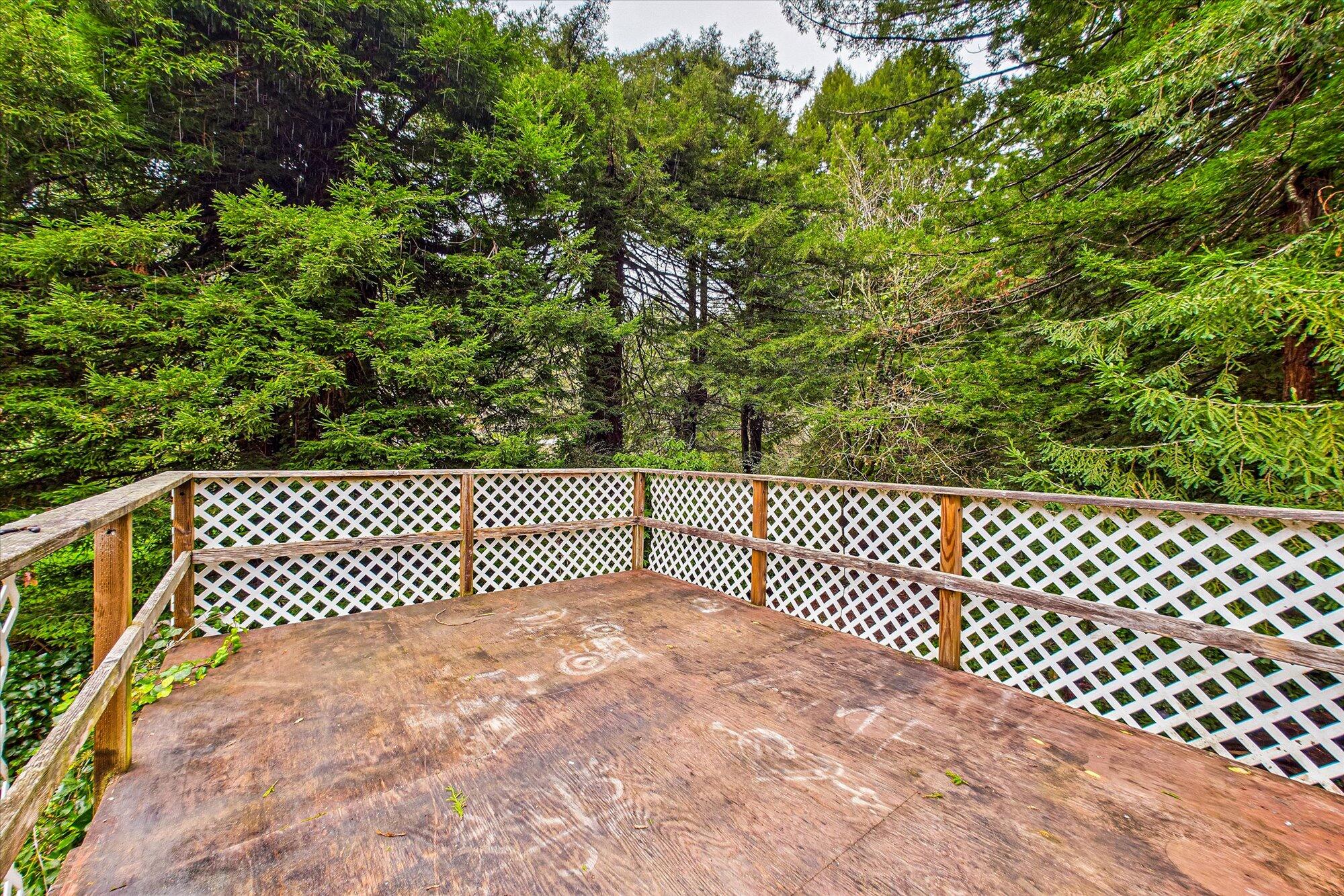 903 Cedar Avenue