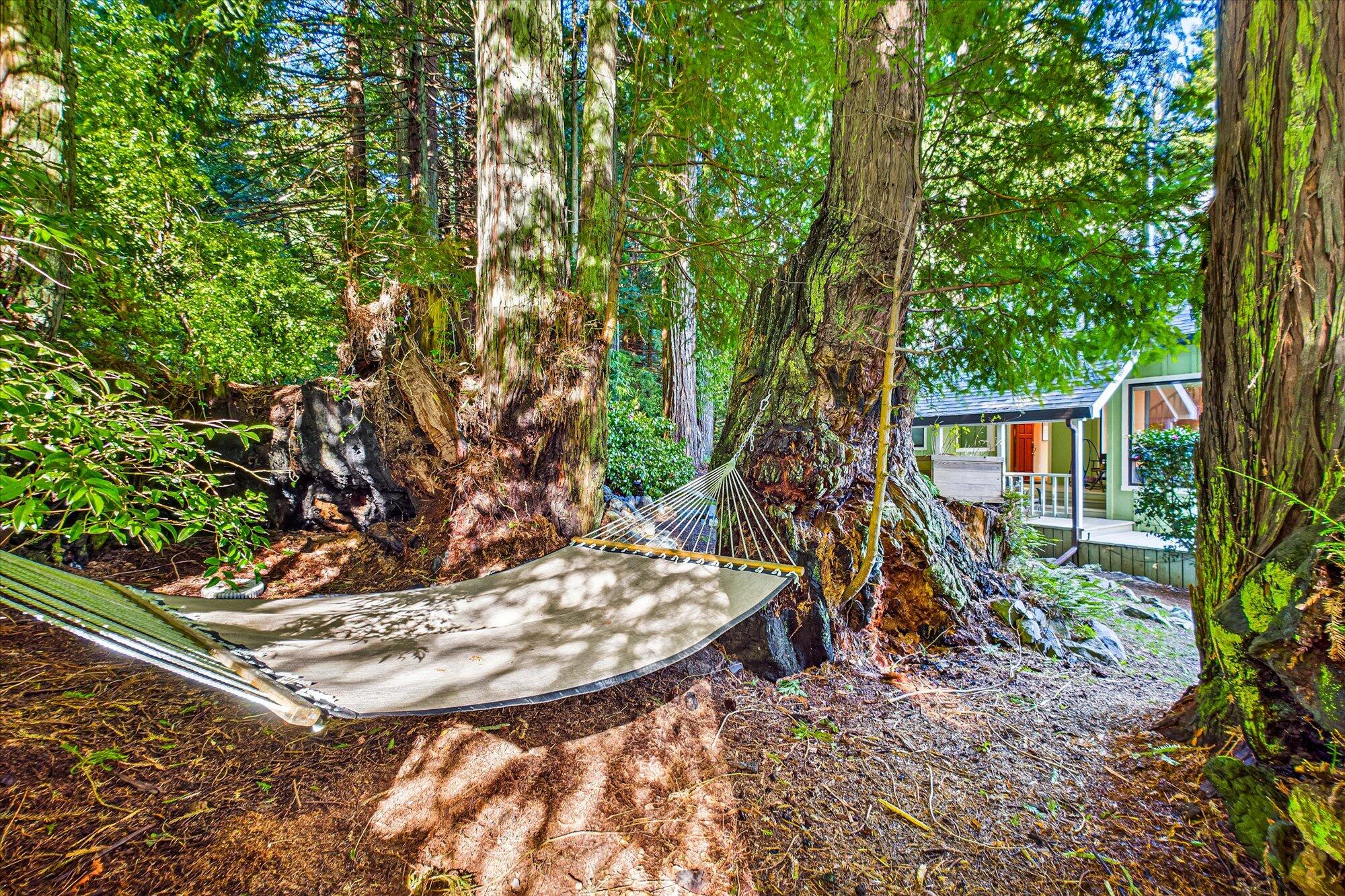 832 Wiley Court