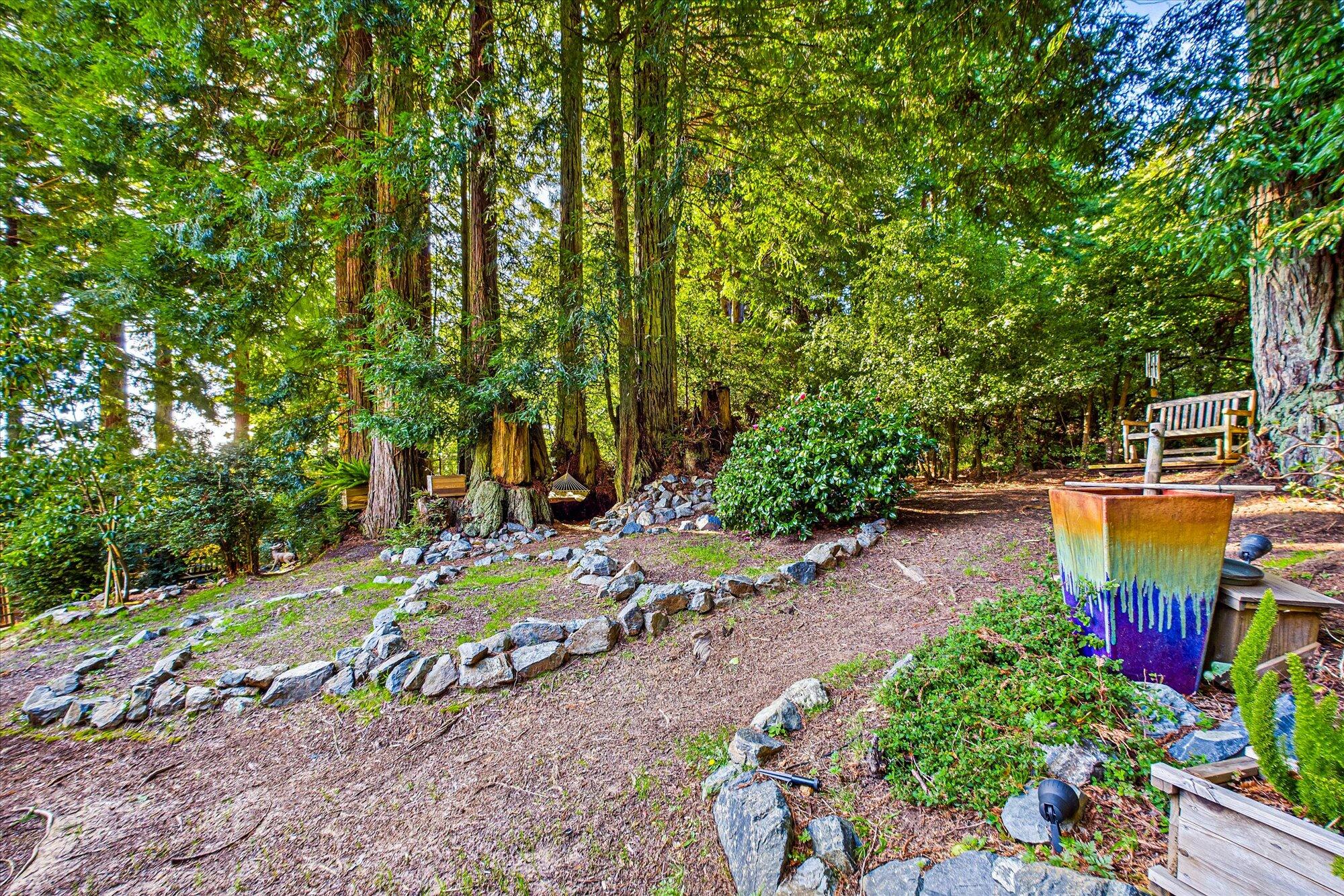832 Wiley Court