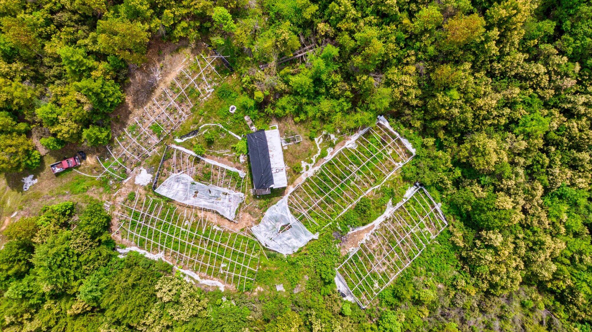 1245 Iron Gate Road