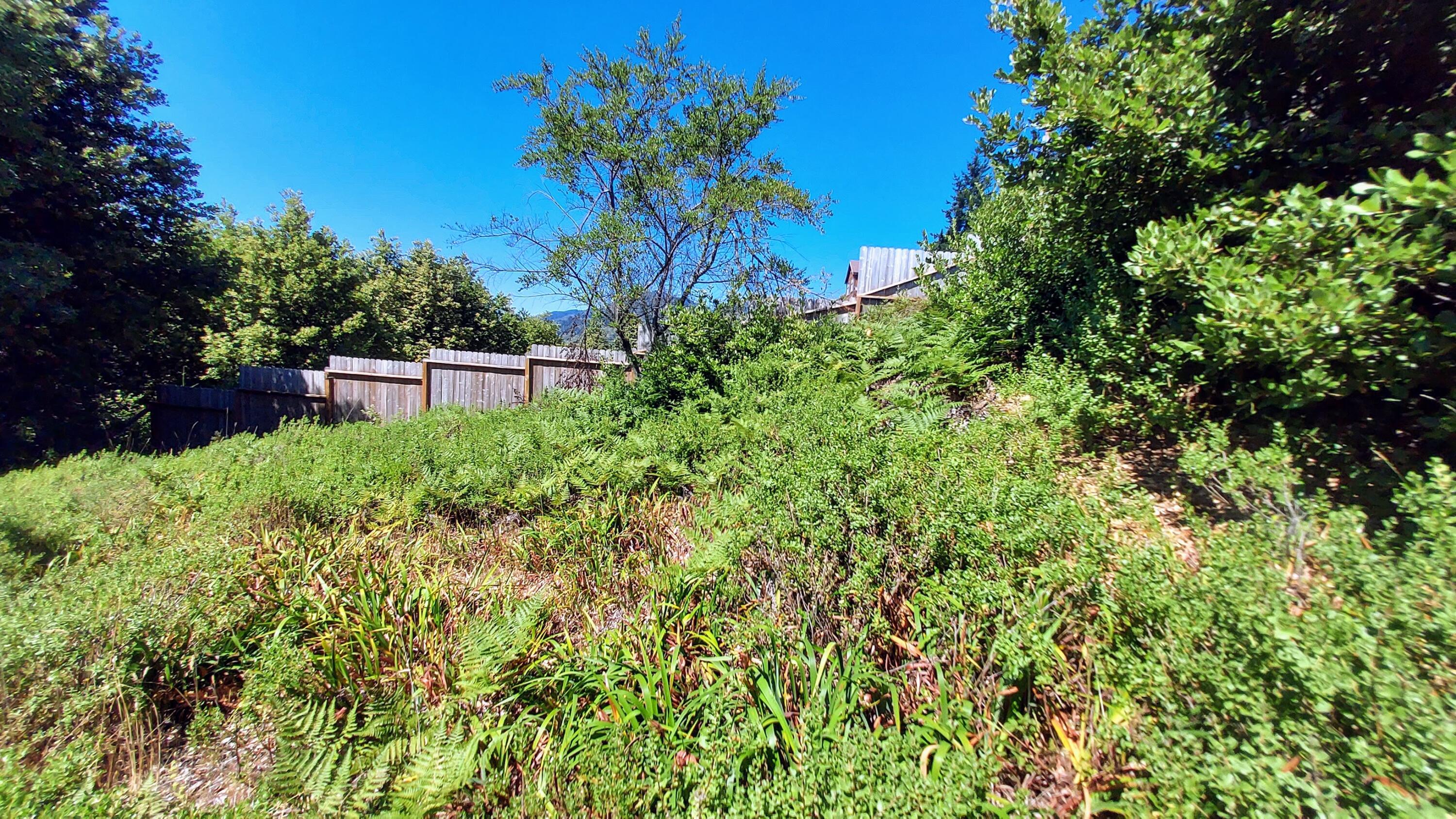 27 Cook Road