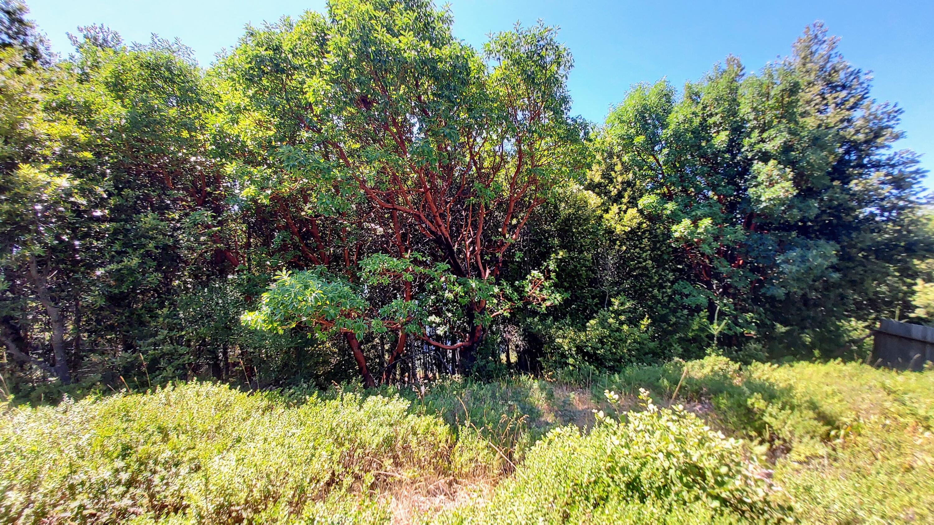 27 Cook Road