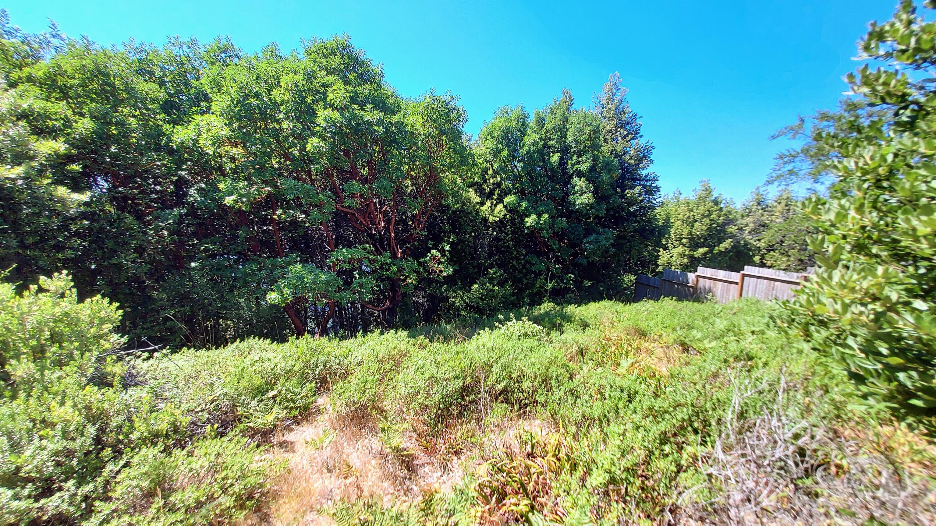 27 Cook Road