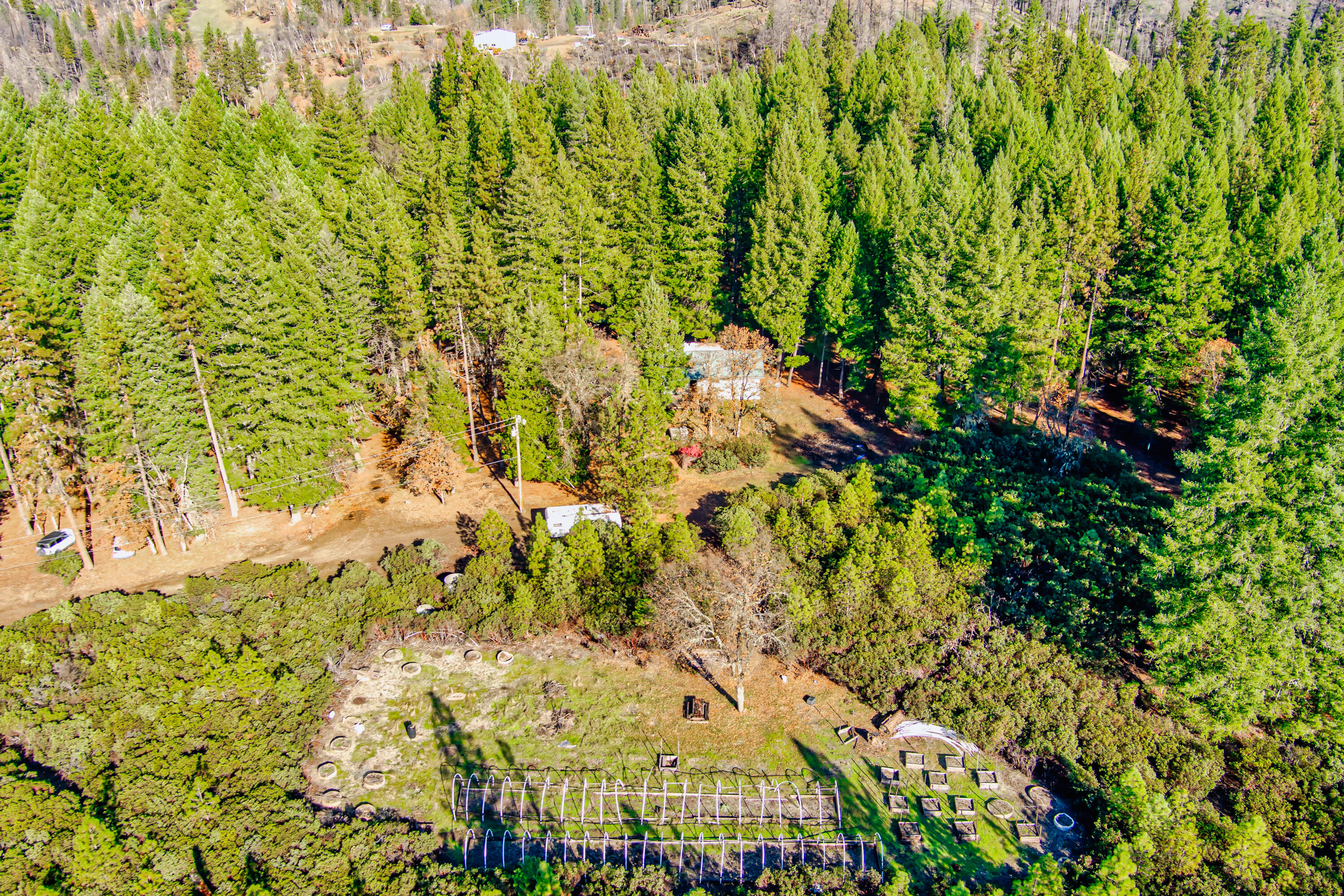 80 Pine Cone Lane