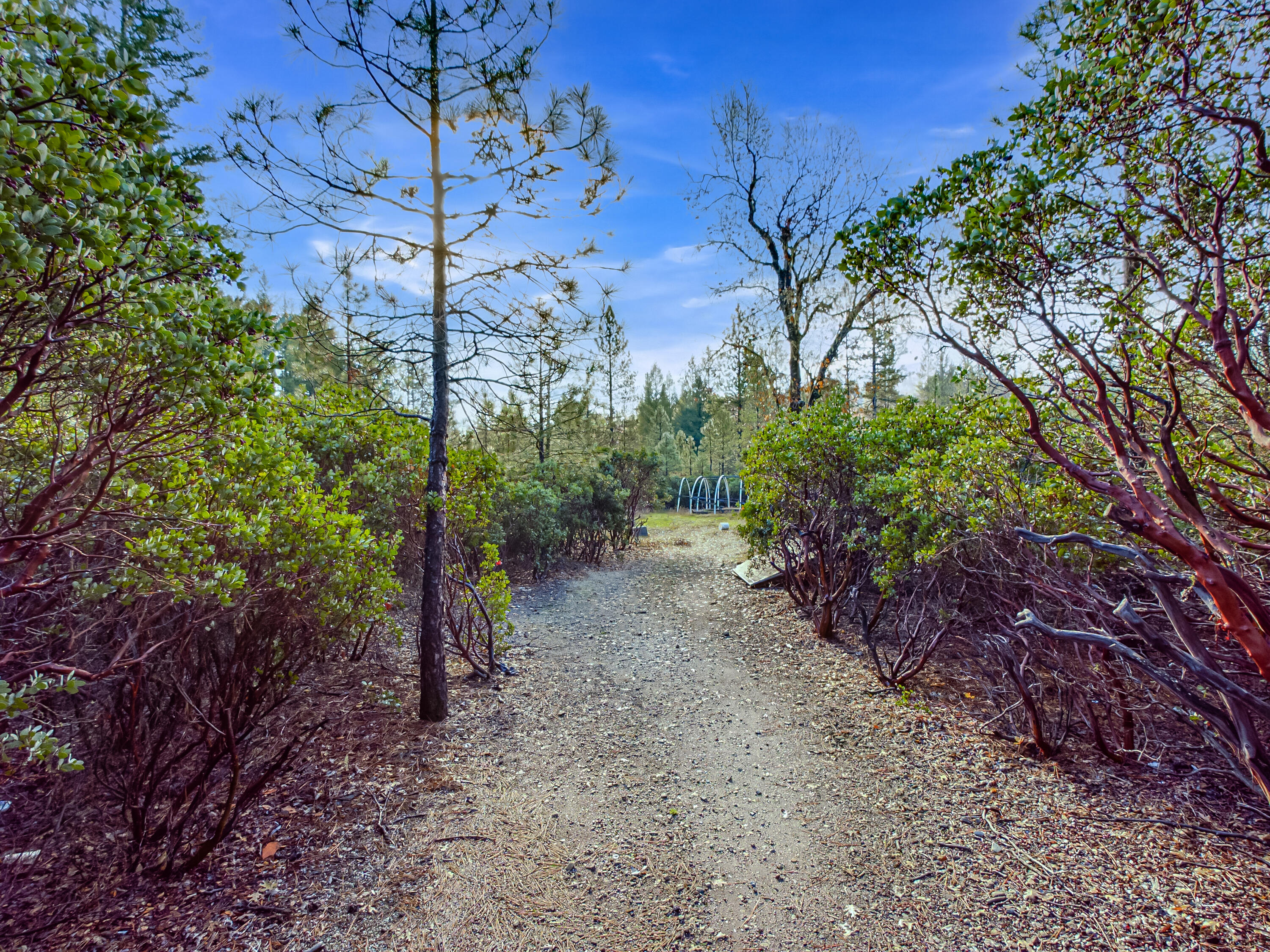 80 Pine Cone Lane