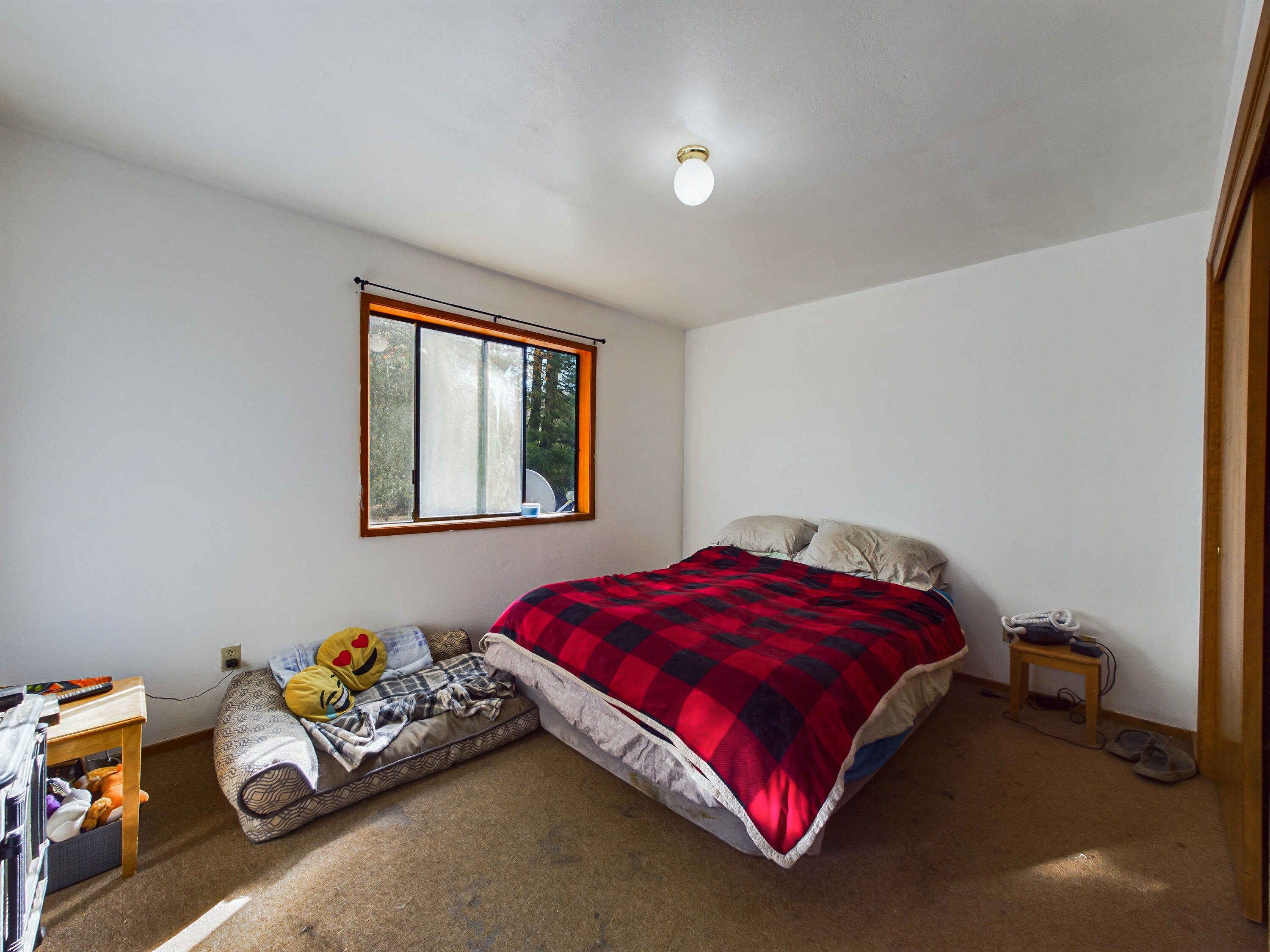 80 Pine Cone Lane