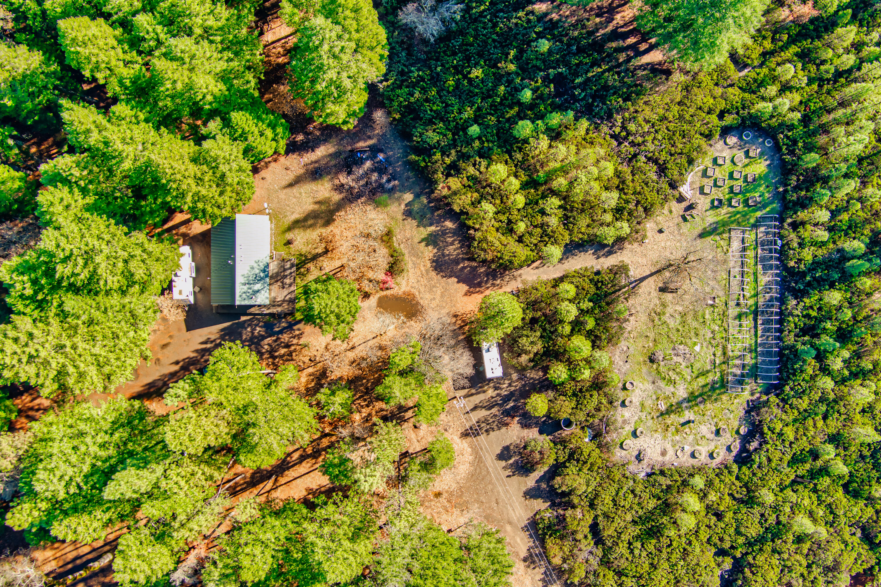 80 Pine Cone Lane