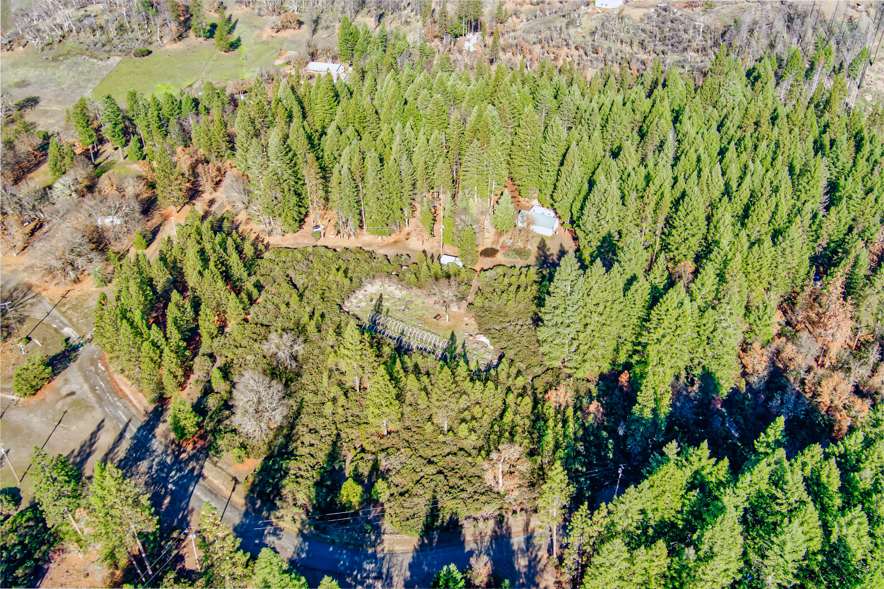 80 Pine Cone Lane