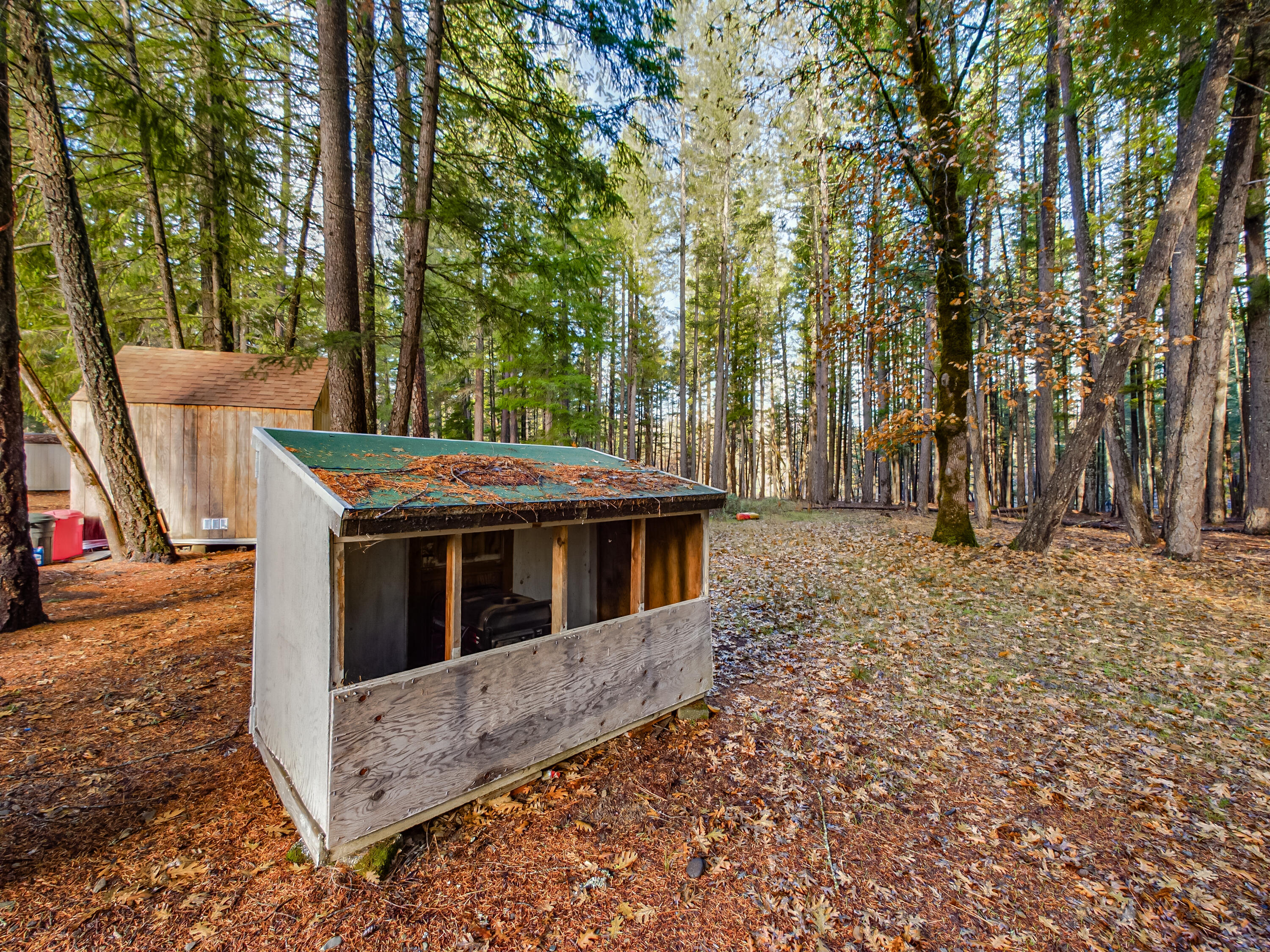 80 Pine Cone Lane