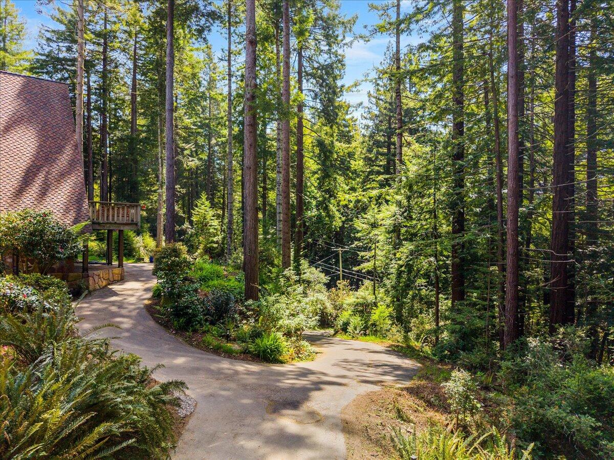 3089 Pigeon Point Road